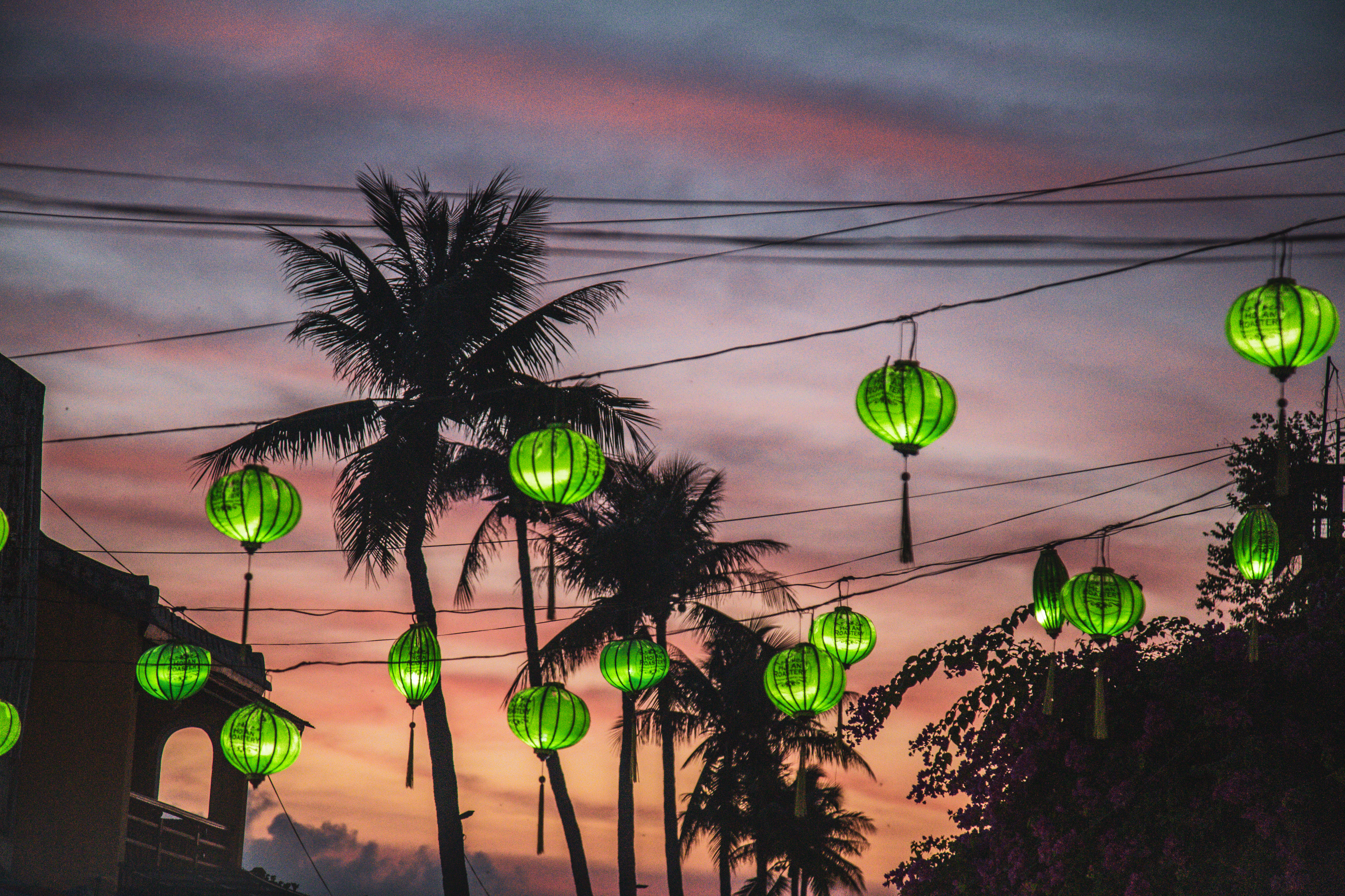 Hanging lanterns and palm silhouettes stand against a sunset sky, with power lines crossing the scene under soft daylight.