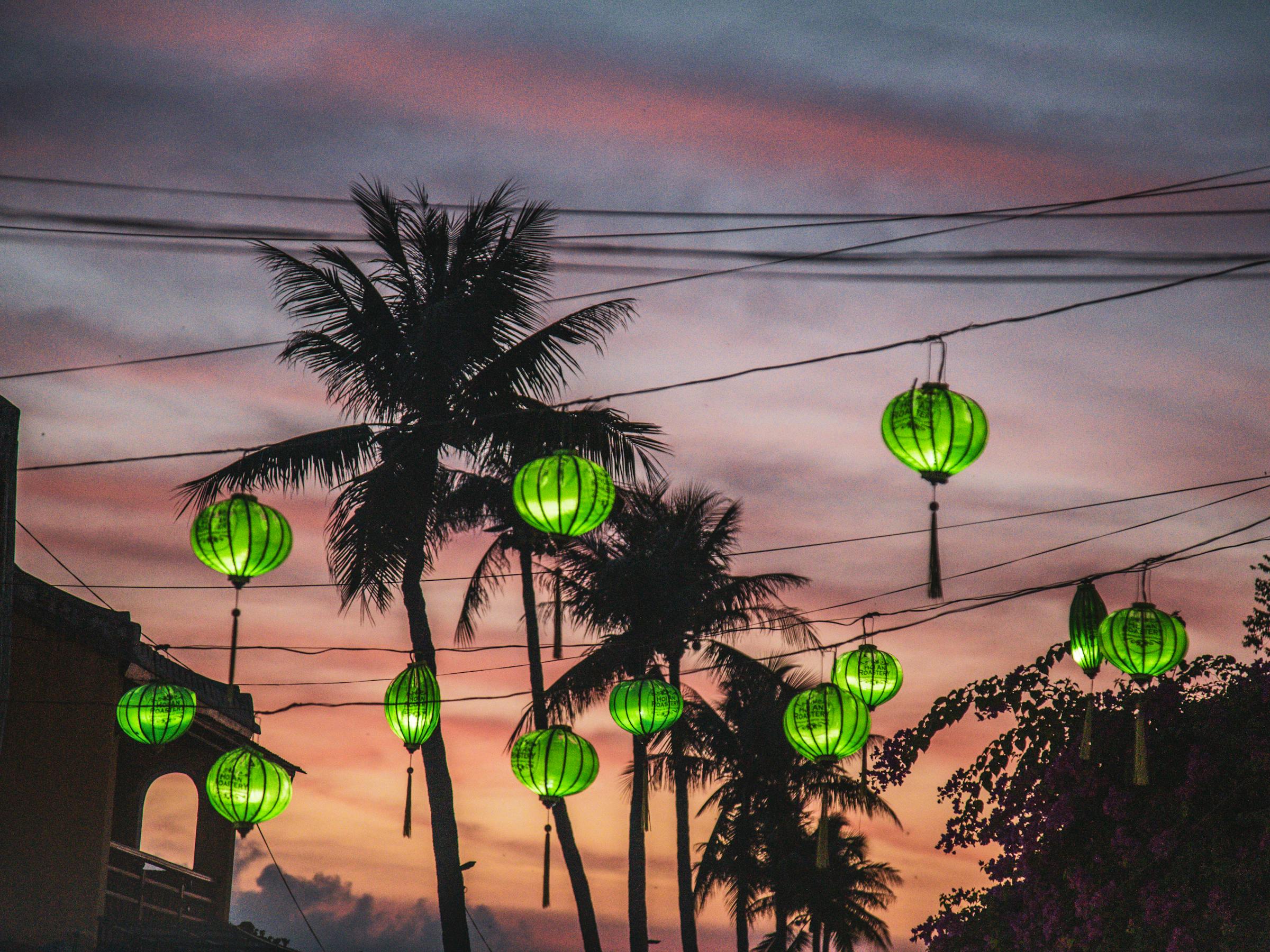 Hanging lanterns and palm silhouettes stand against a sunset sky, with power lines crossing the scene under soft daylight.
