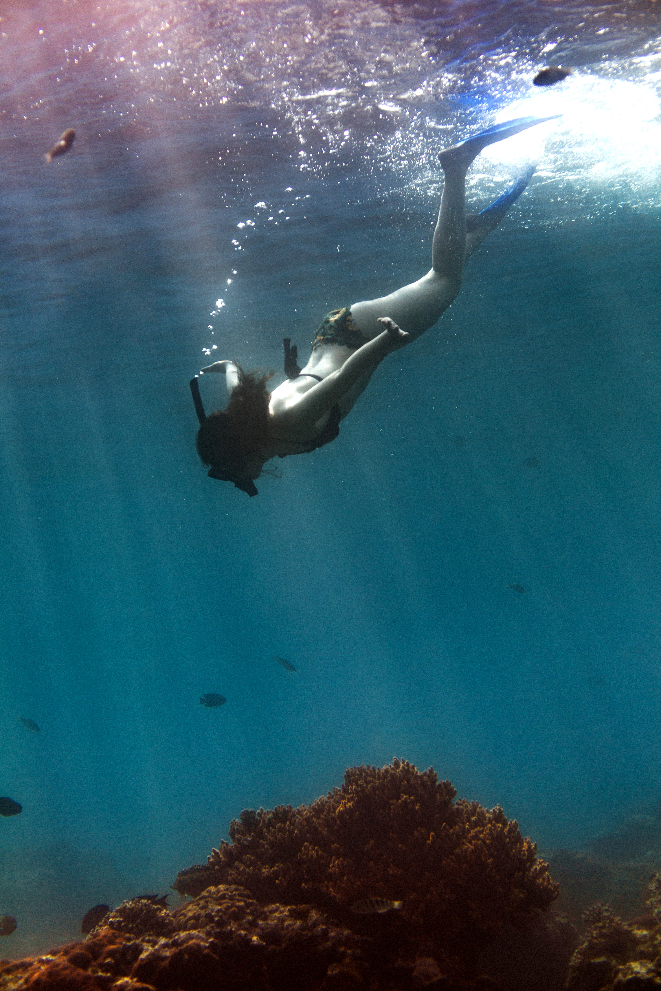Snorkeler swims underwater near a reef wall, with bubbles rising and deep blue water in the background.