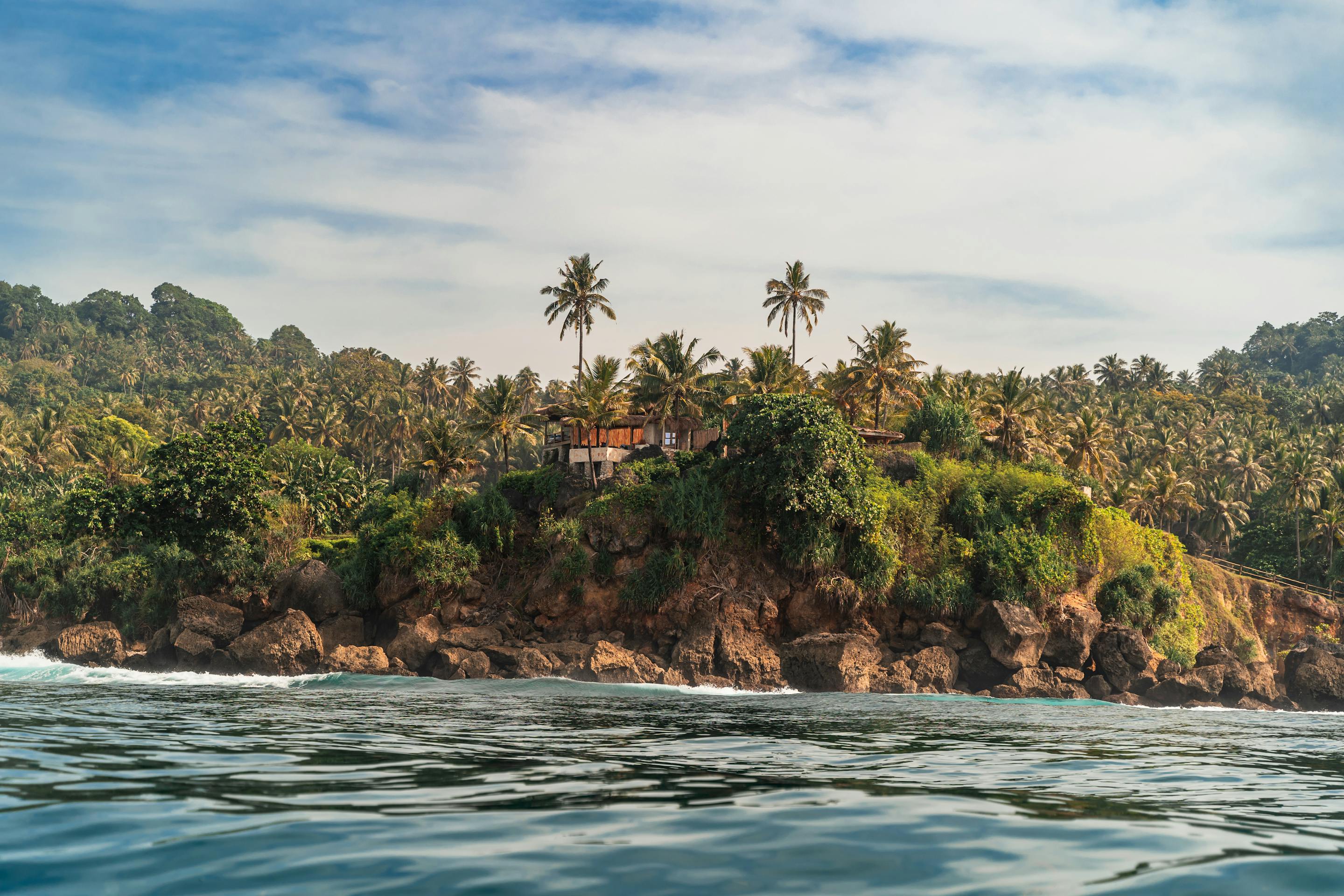 Small tropical island rises from the sea, with palm trees and rocky shorelines under soft daylight.