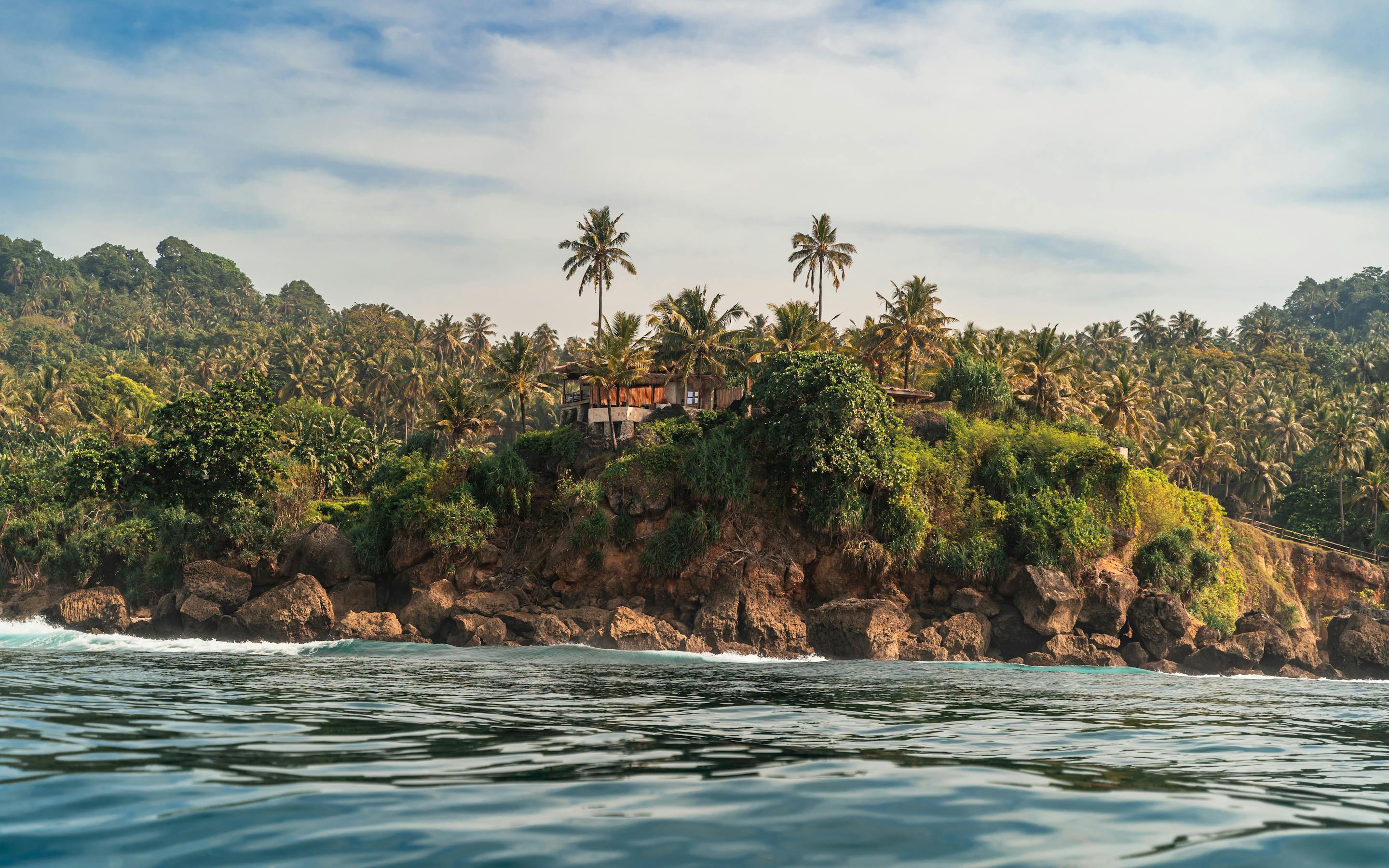 Small tropical island rises from the sea, with palm trees and rocky shorelines under soft daylight.