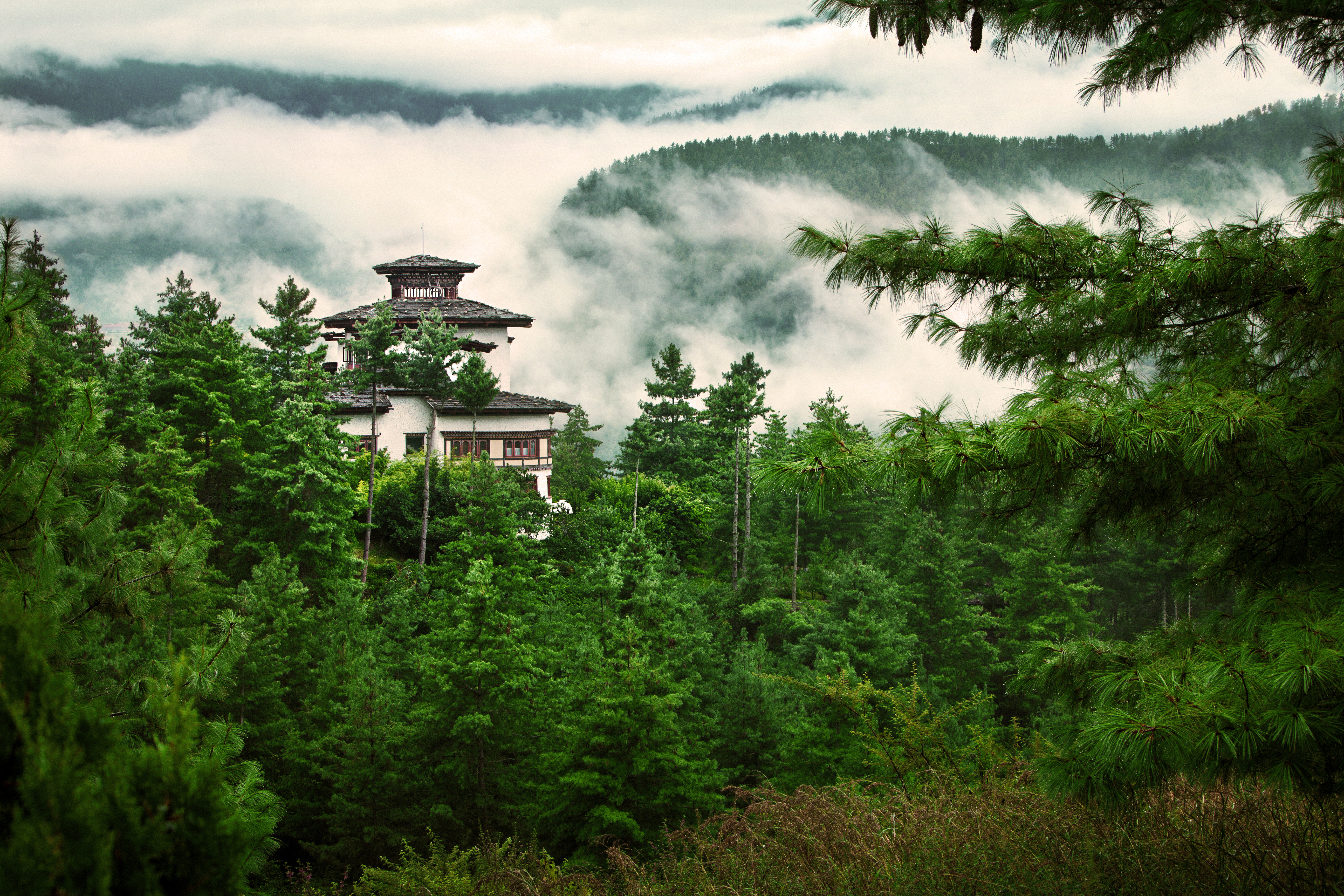 A hillside lodge peeks through dense green forest, with layers of mist and clouds drifting over the mountains behind.