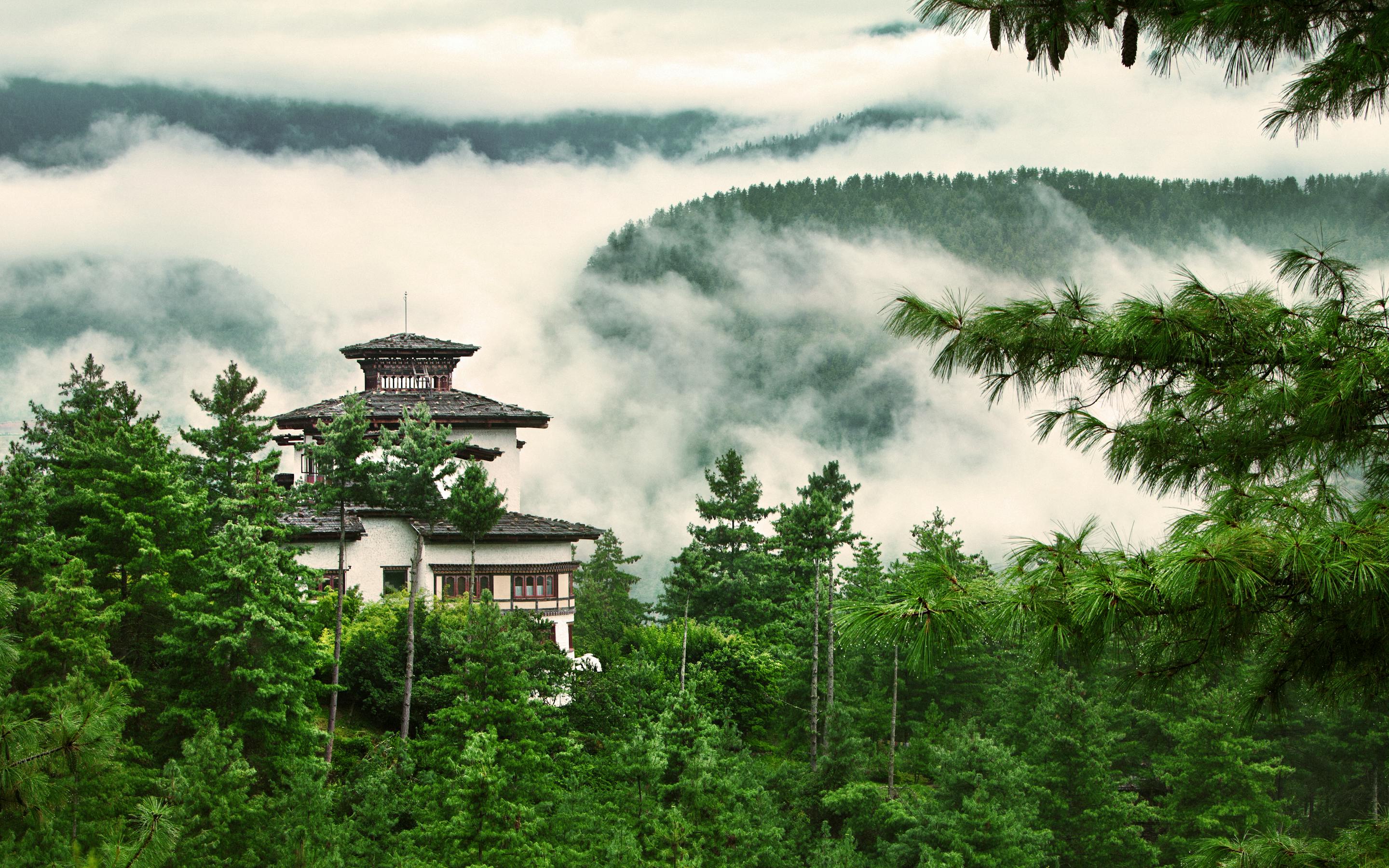 A hillside lodge peeks through dense green forest, with layers of mist and clouds drifting over the mountains behind.