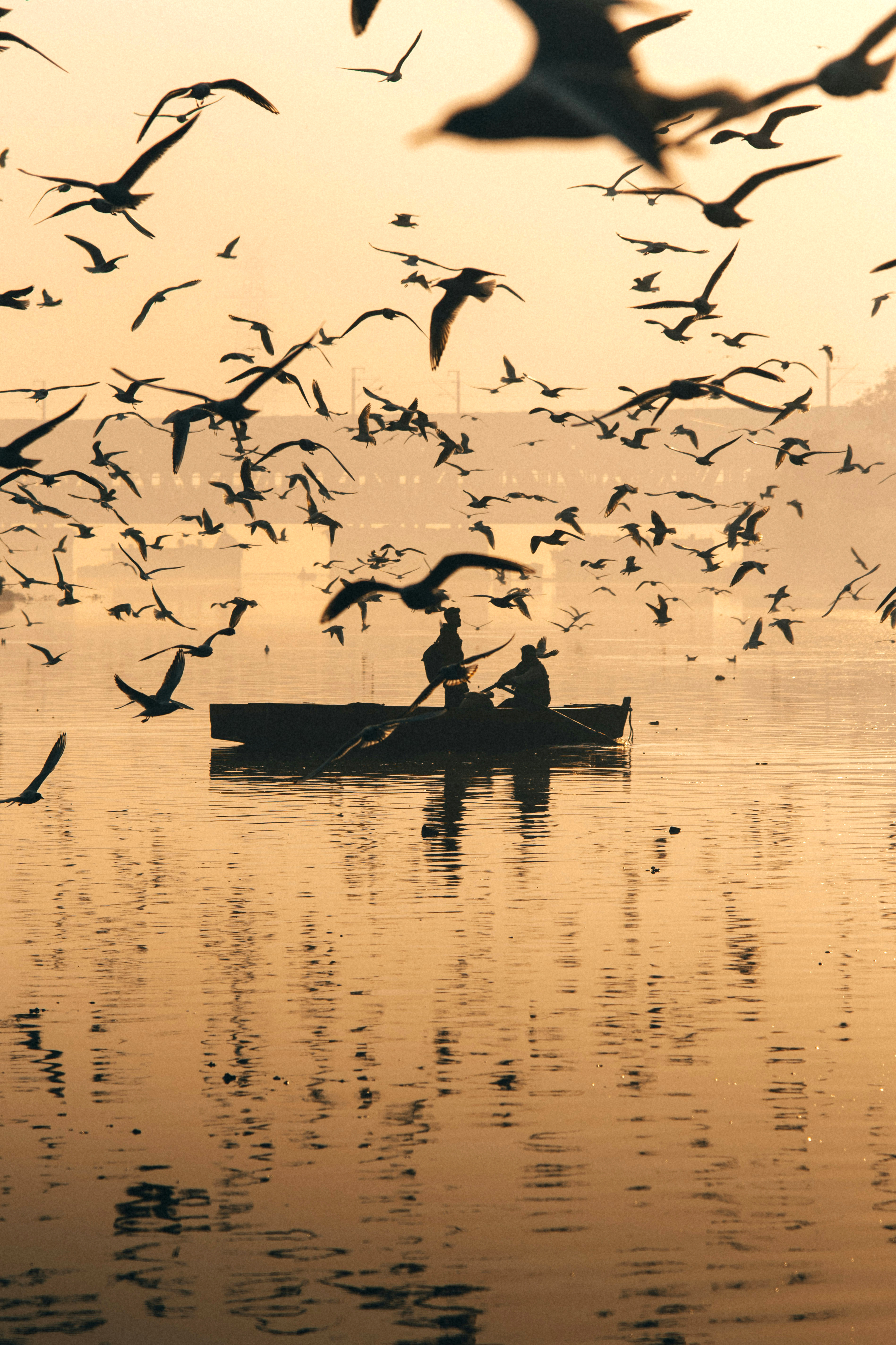 A small boat silhouettes on a still river as dozens of birds sweep across a golden sunrise reflected in the water.