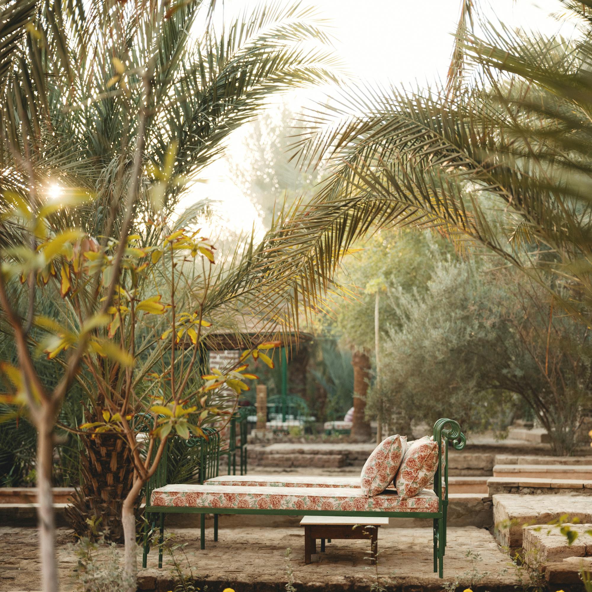Garden walkway lined with yellow flowers and palms leads to a shaded lounge, with sunlight filtering through leaves.