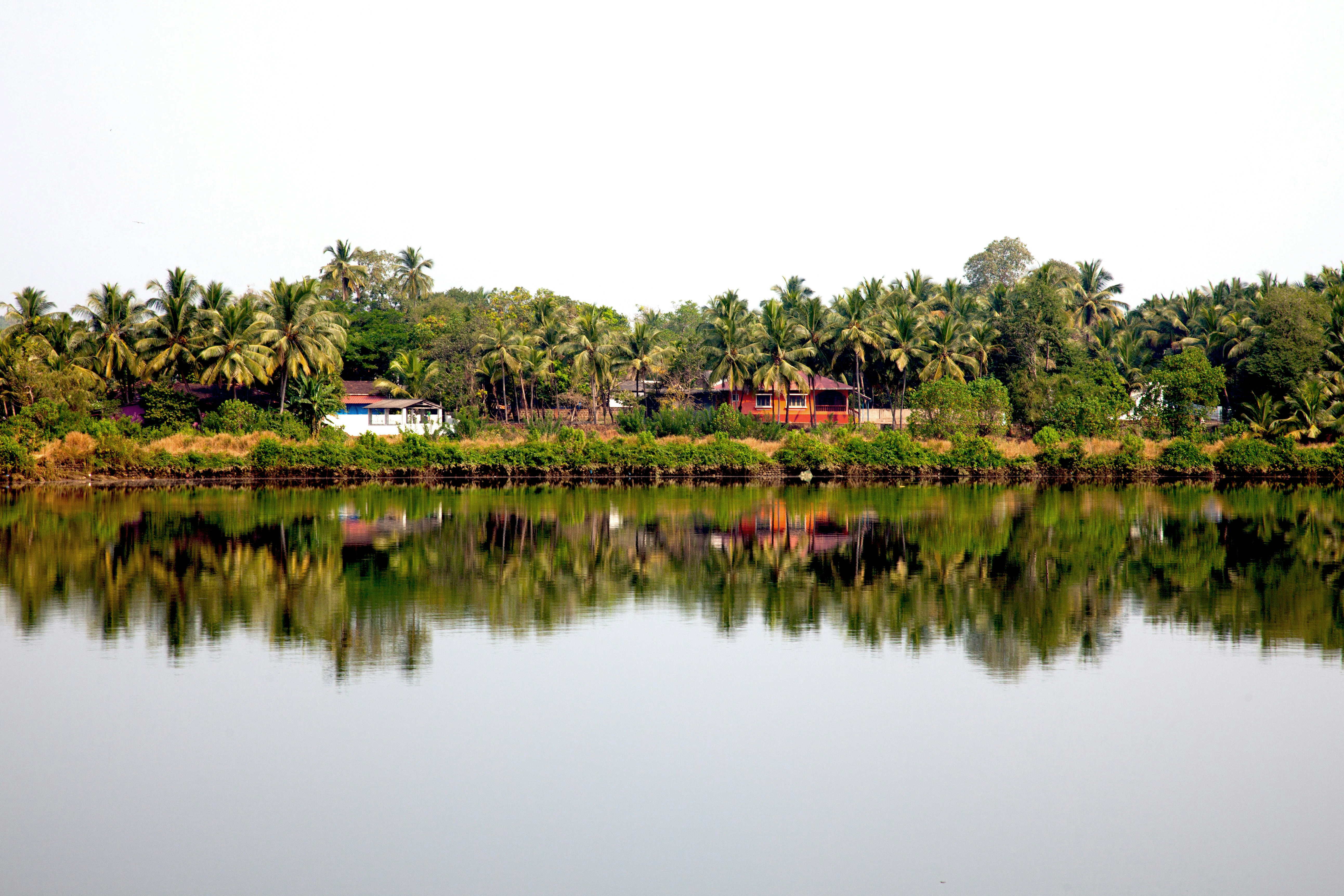 Palm trees and low buildings reflect in a still lake, with a soft overcast sky mirrored across the calm water.