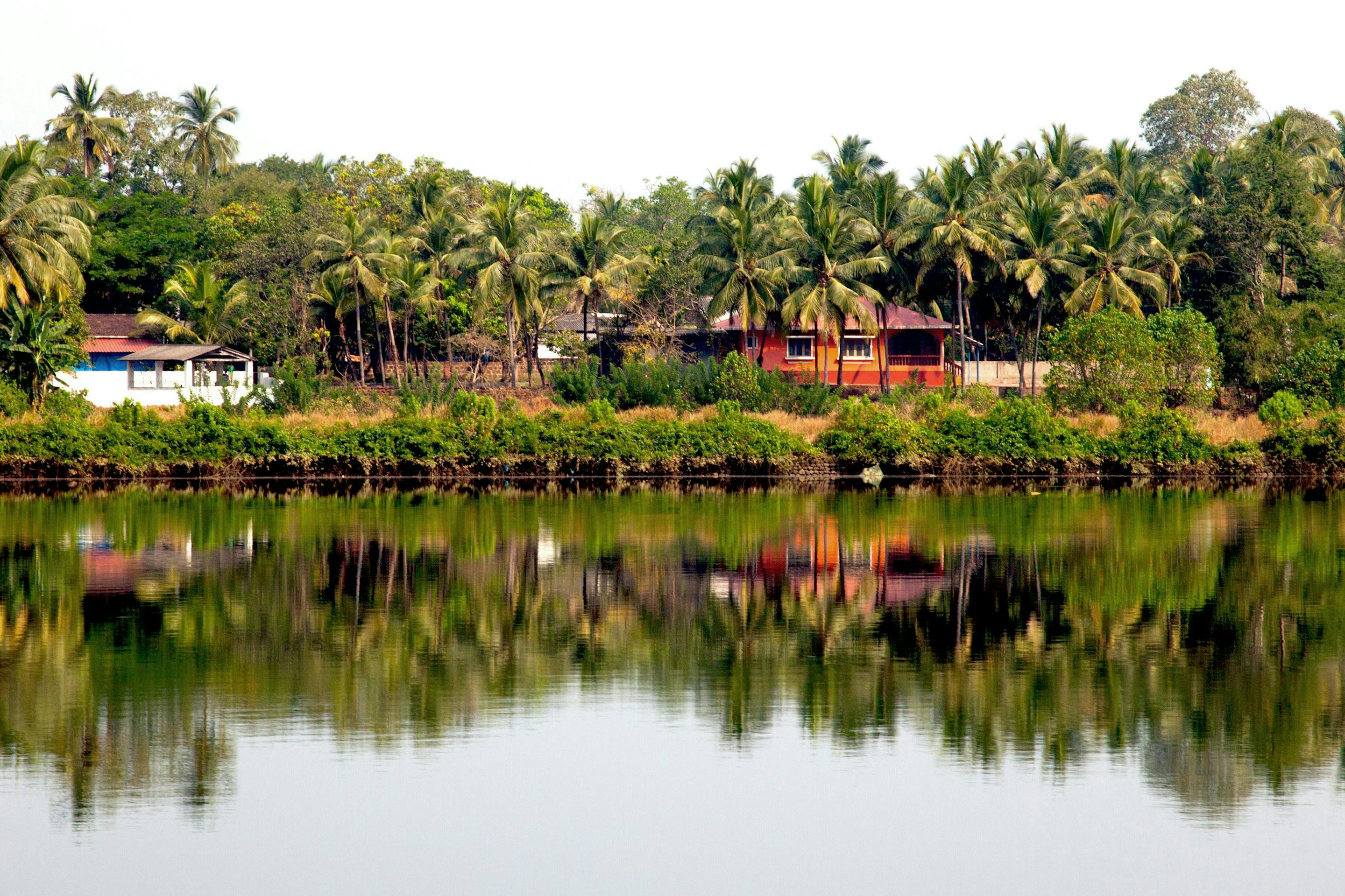 Palm trees and low buildings reflect in a still lake, with a soft overcast sky mirrored across the calm water.