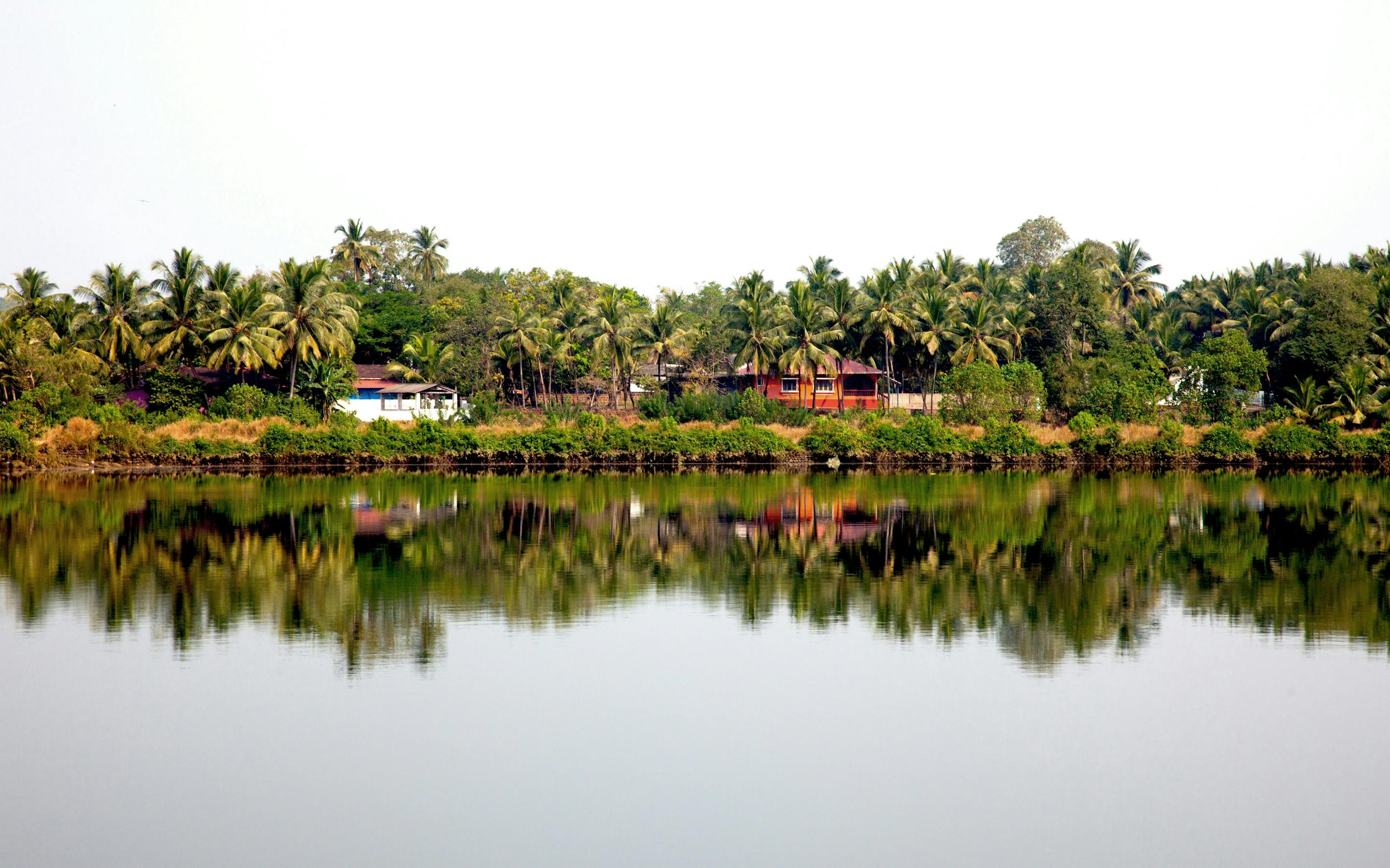 Palm trees and low buildings reflect in a still lake, with a soft overcast sky mirrored across the calm water.