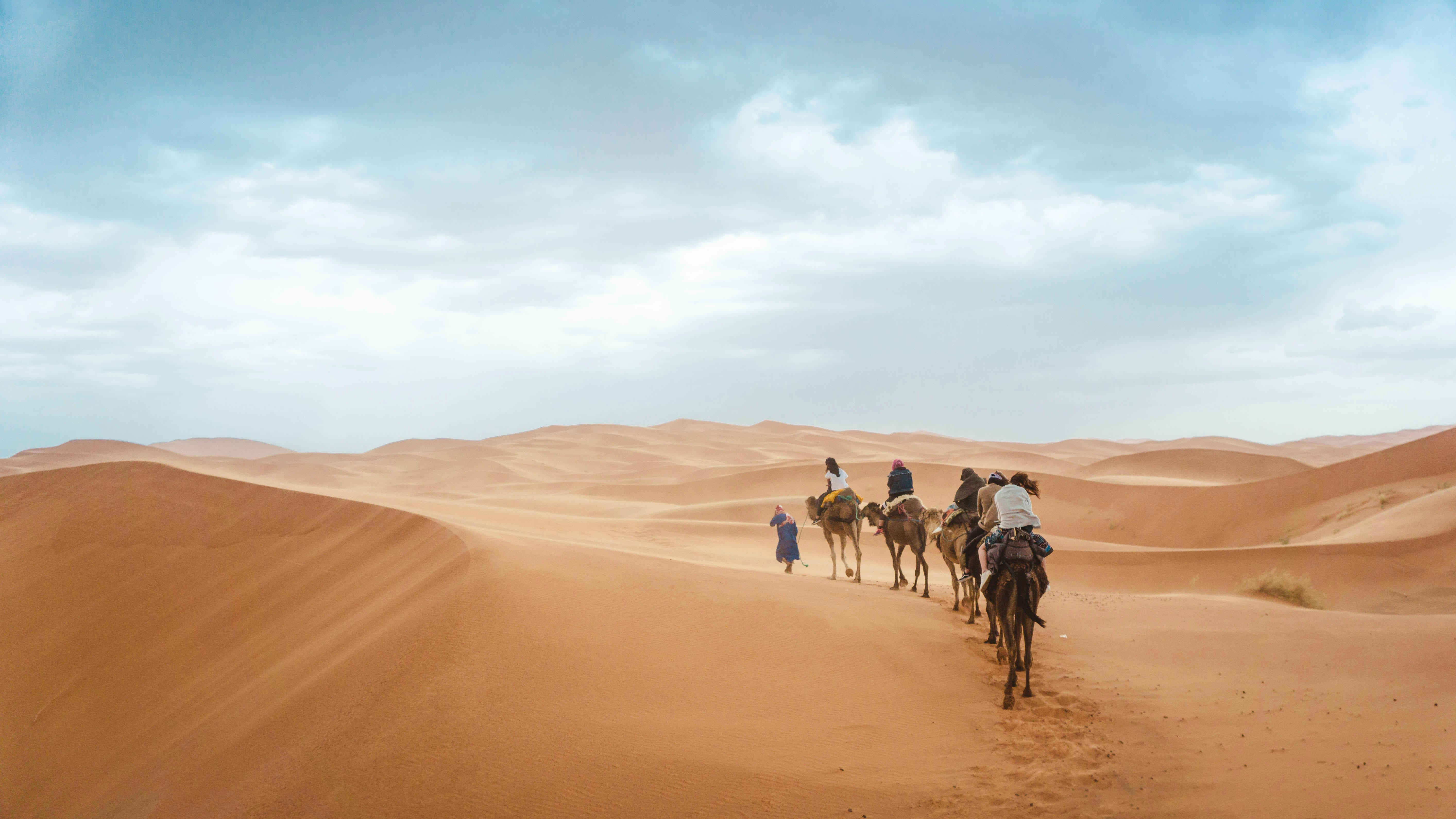Small camel train follows a curving path over wind-sculpted dunes, with distant mountains under soft clouds.