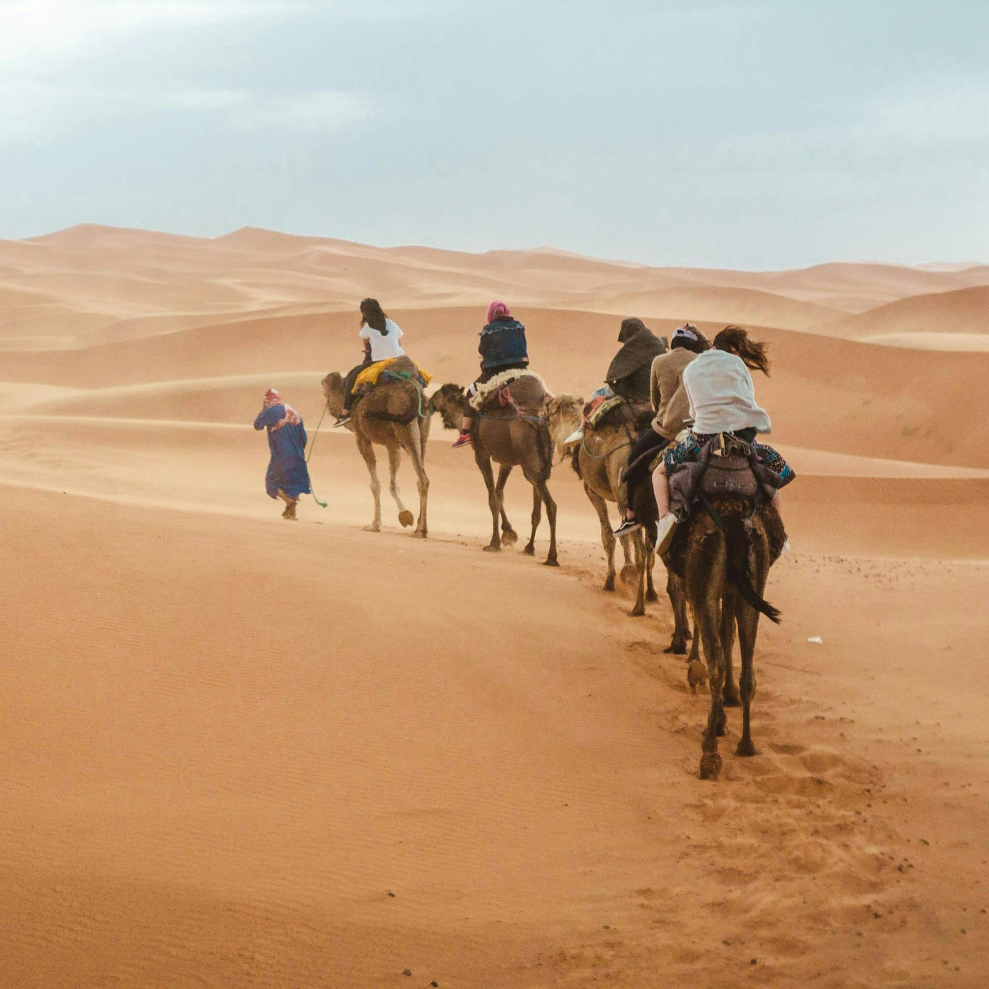 Small camel train follows a curving path over wind-sculpted dunes, with distant mountains under soft clouds.