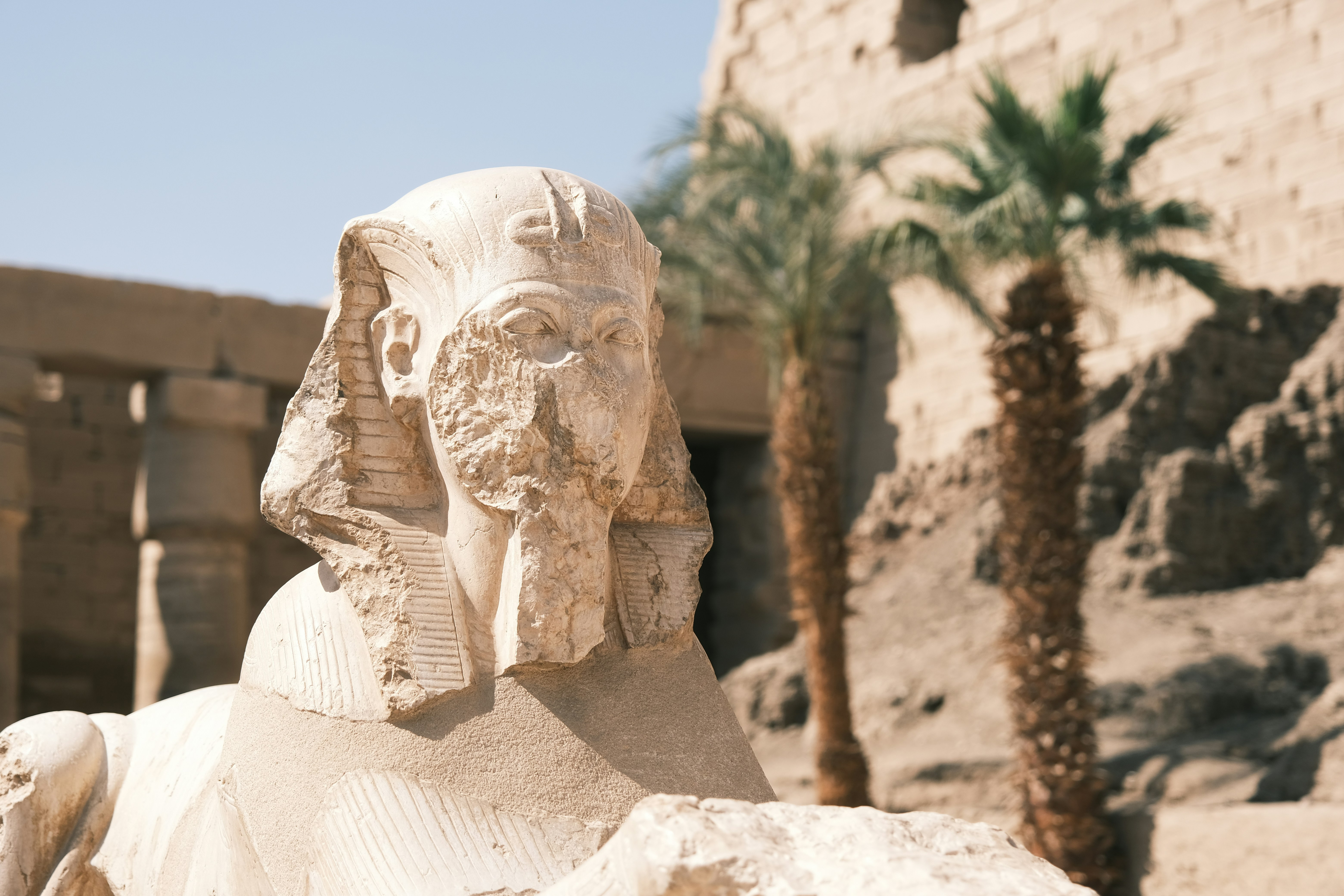 Close-up of a weathered stone statue head in soft light, with palm fronds and ancient walls in the background.