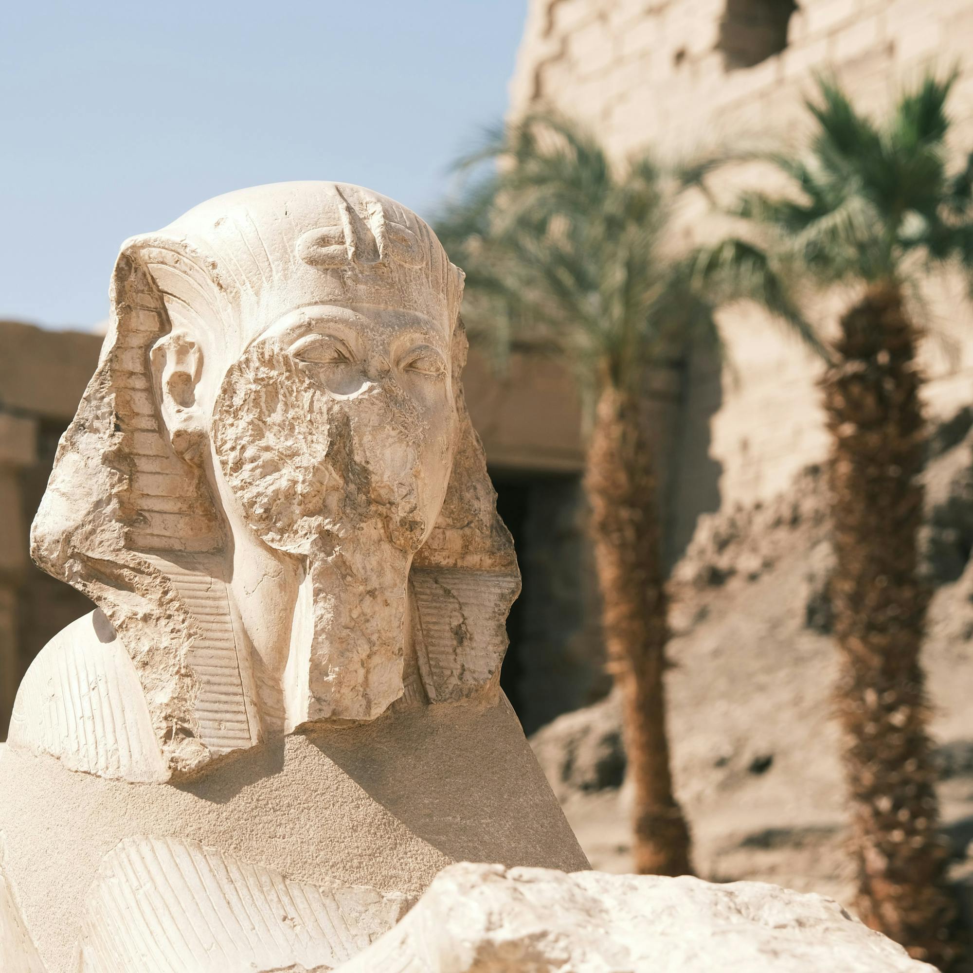 Close-up of a weathered stone statue head in soft light, with palm fronds and ancient walls in the background.