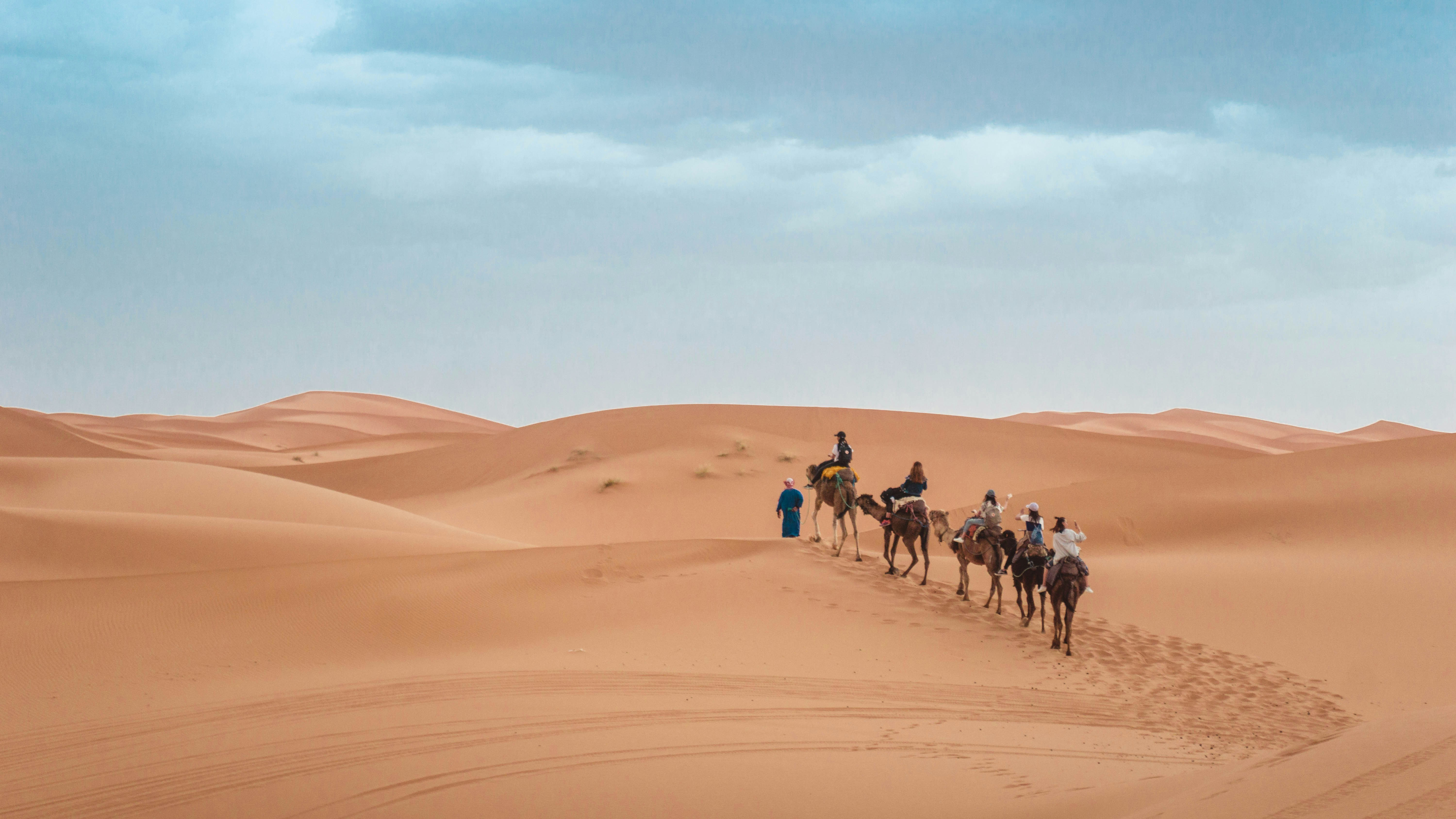 Camel caravan crosses smooth sand dunes in single file, leaving footprints along a ridge under a pale blue sky.