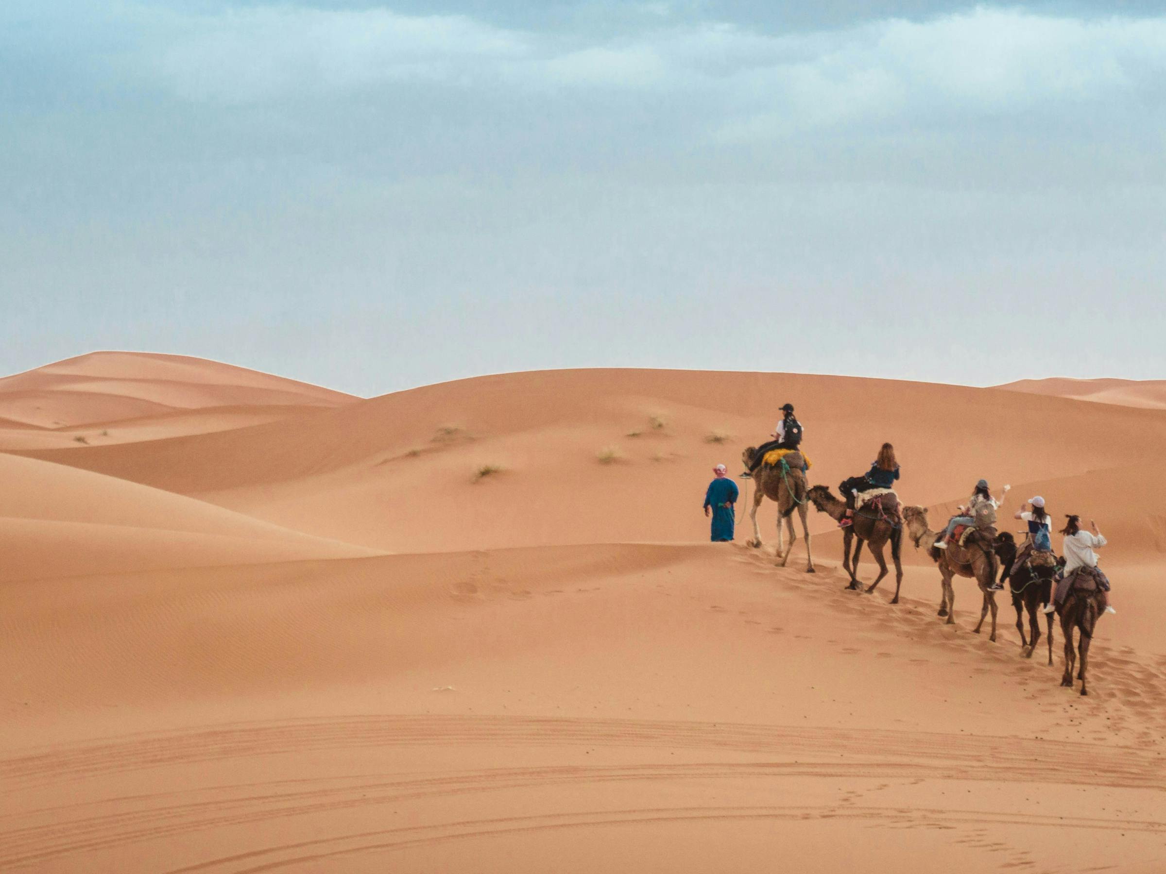 Camel caravan crosses smooth sand dunes in single file, leaving footprints along a ridge under a pale blue sky.