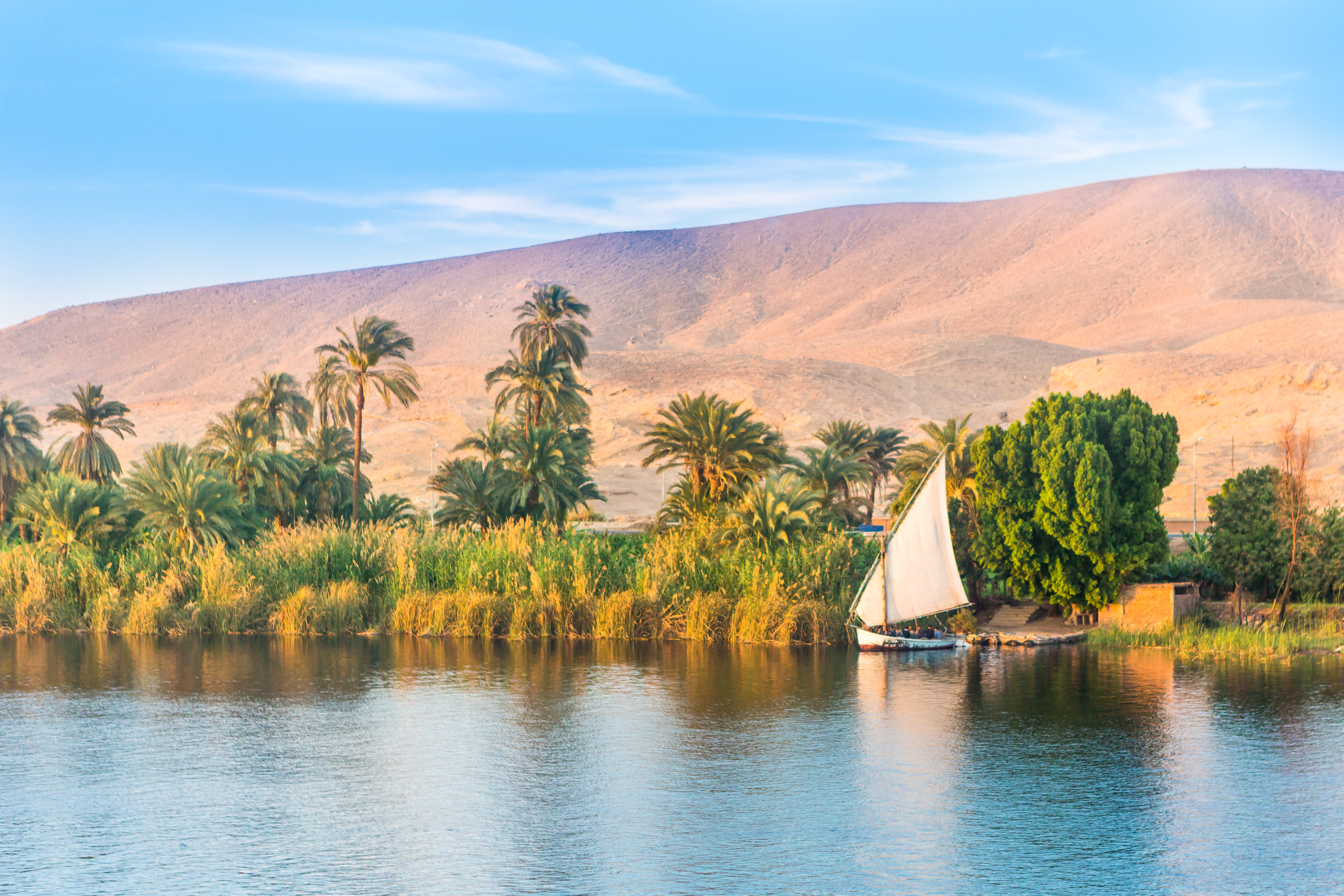 Calm river scene with a white sailboat gliding past palm trees and sandy banks, with mountains in the background.