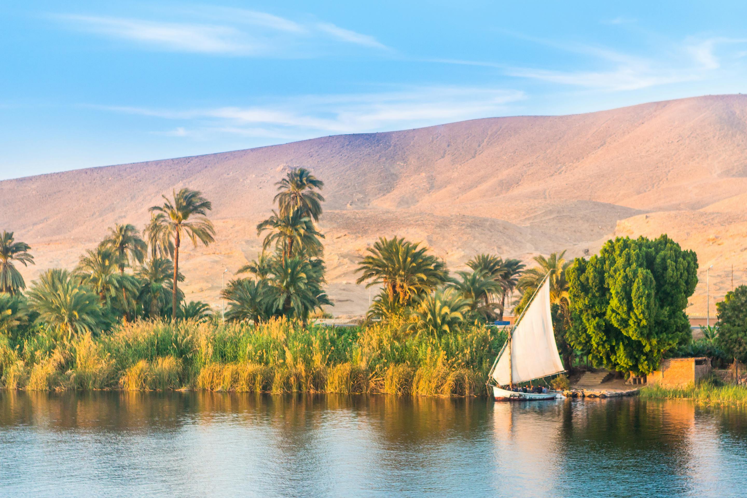 Calm river scene with a white sailboat gliding past palm trees and sandy banks, with mountains in the background.