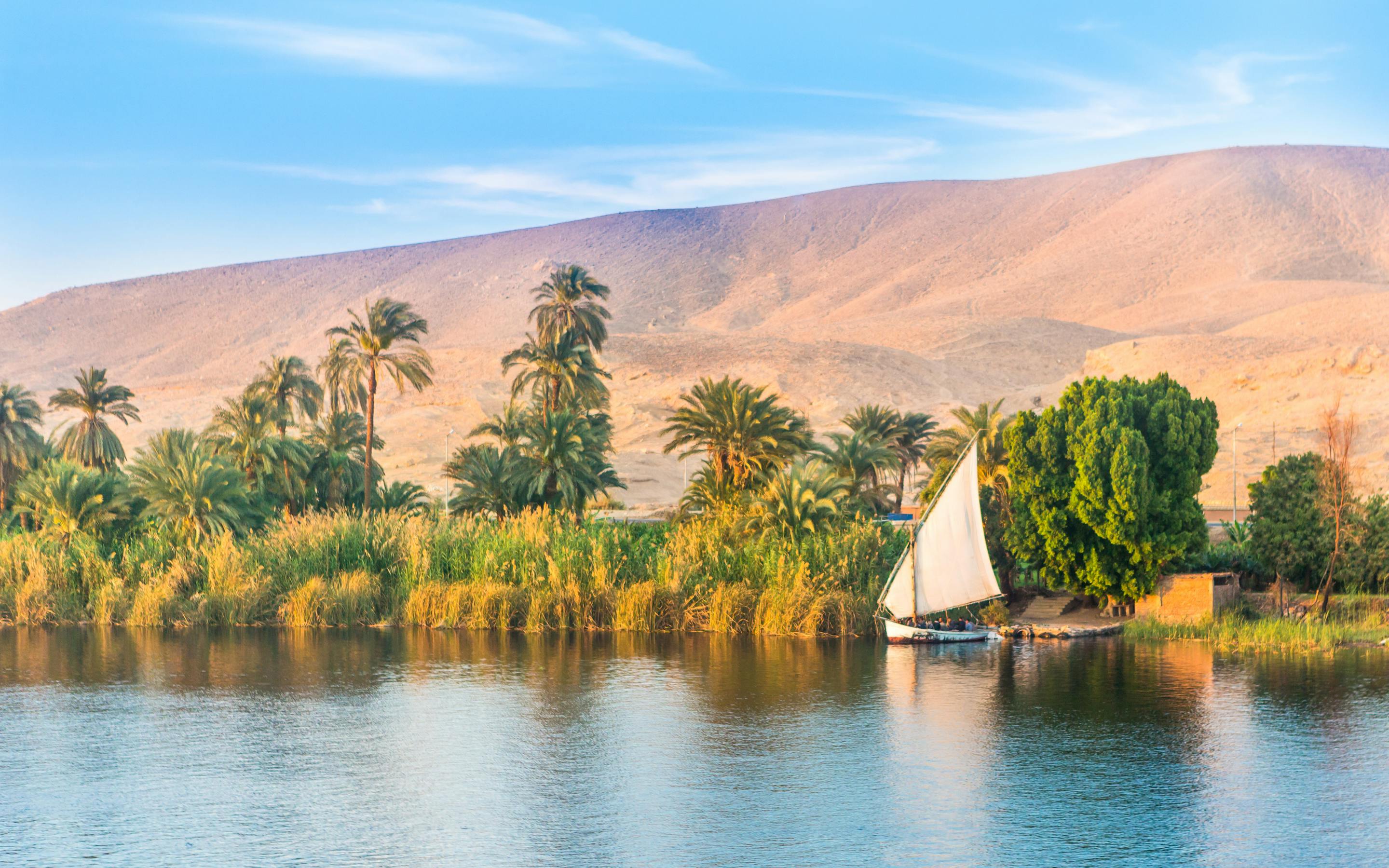 Calm river scene with a white sailboat gliding past palm trees and sandy banks, with mountains in the background.