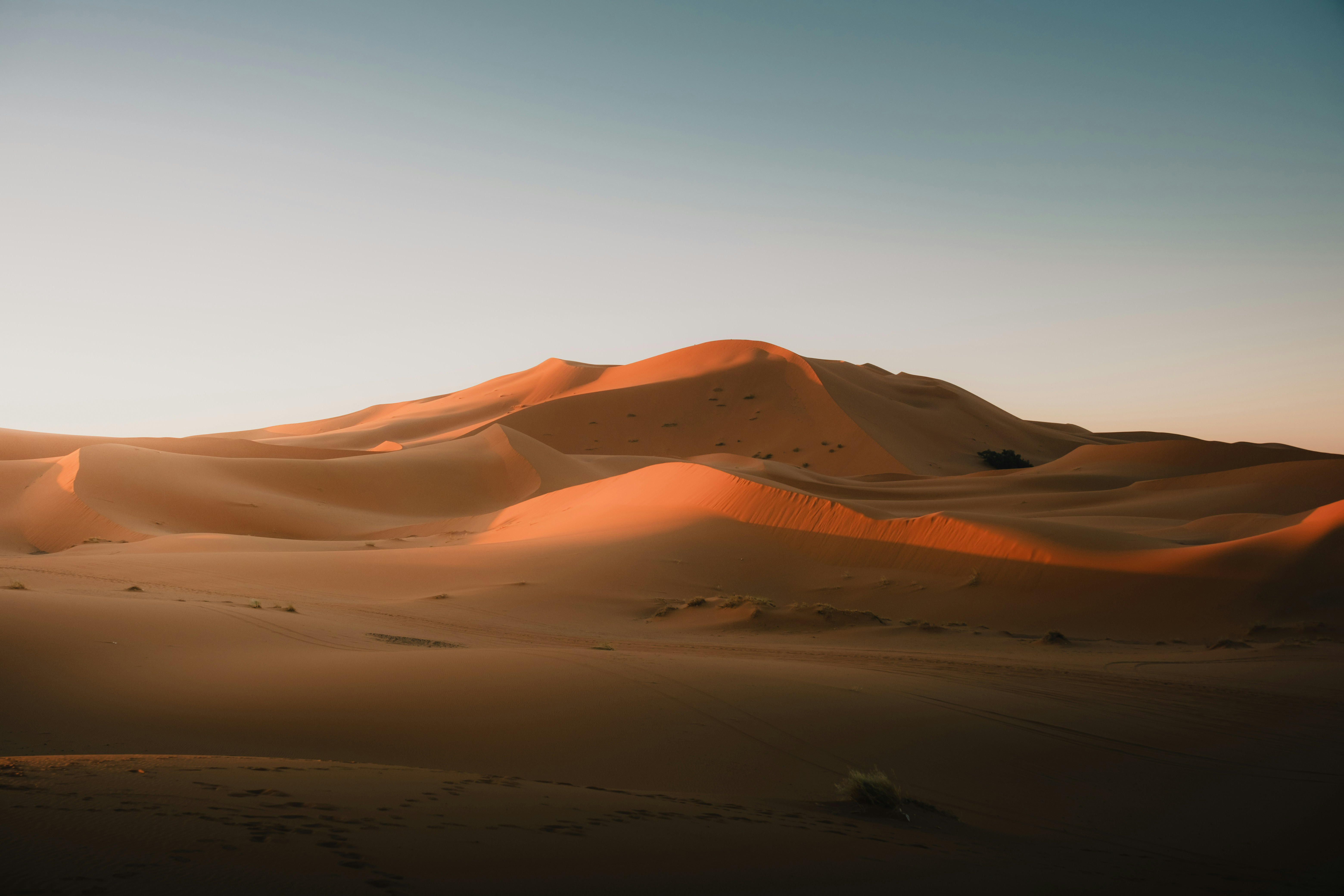 Rolling sand dunes with long shadows under a pale sky.