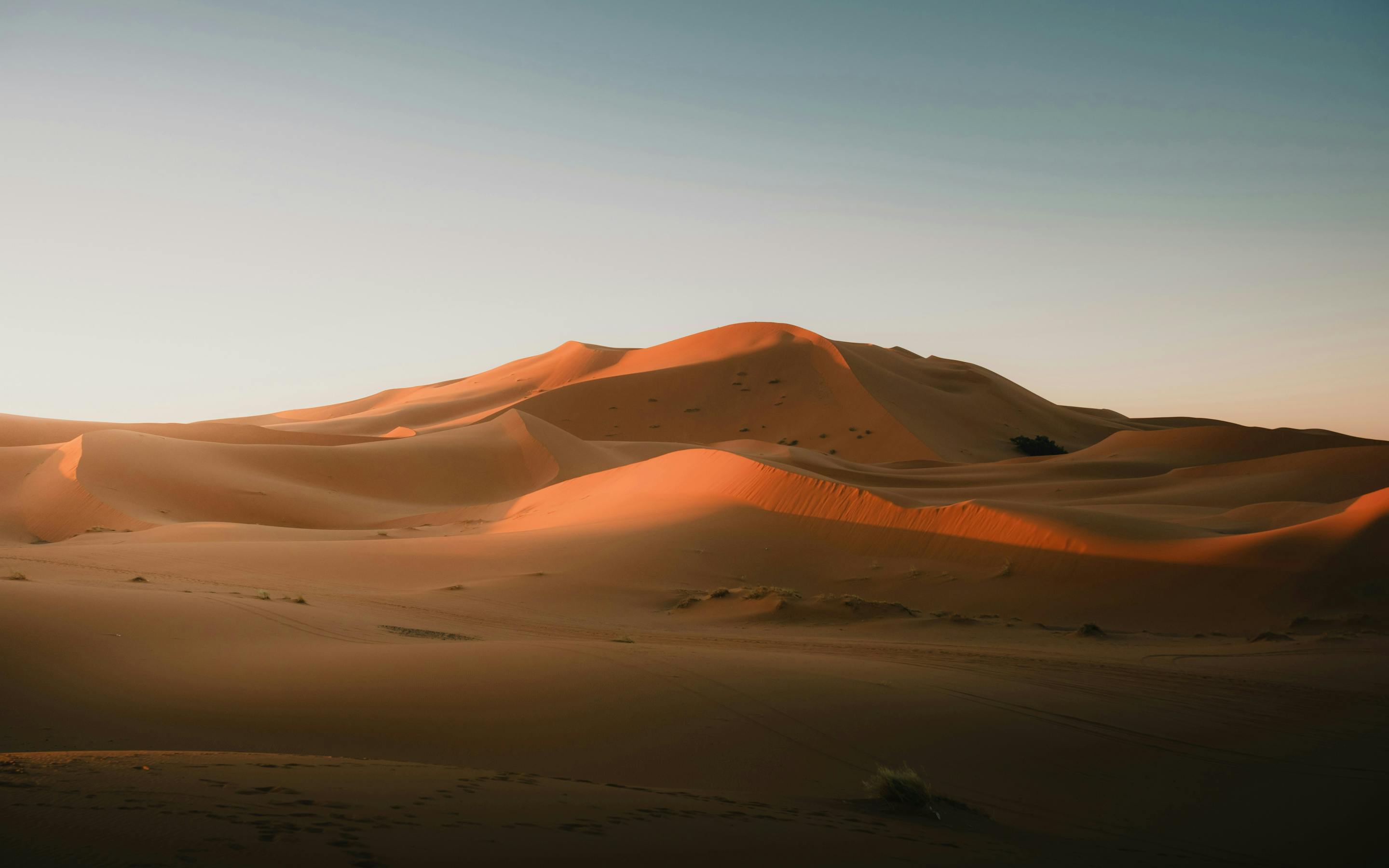Rolling sand dunes with long shadows under a pale sky.