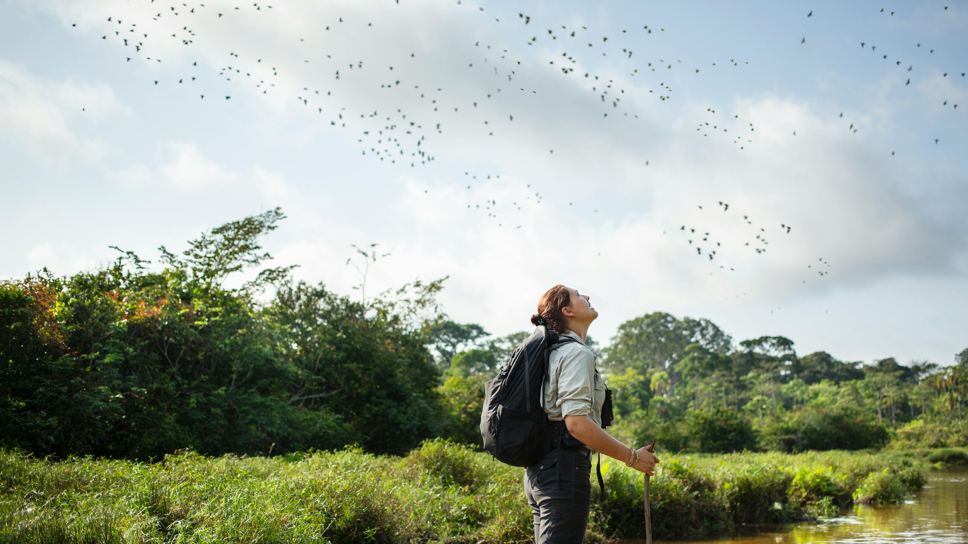 A guide stands in shallow water holding a walking stick as birds wheel overhead above the open, misty clearing.