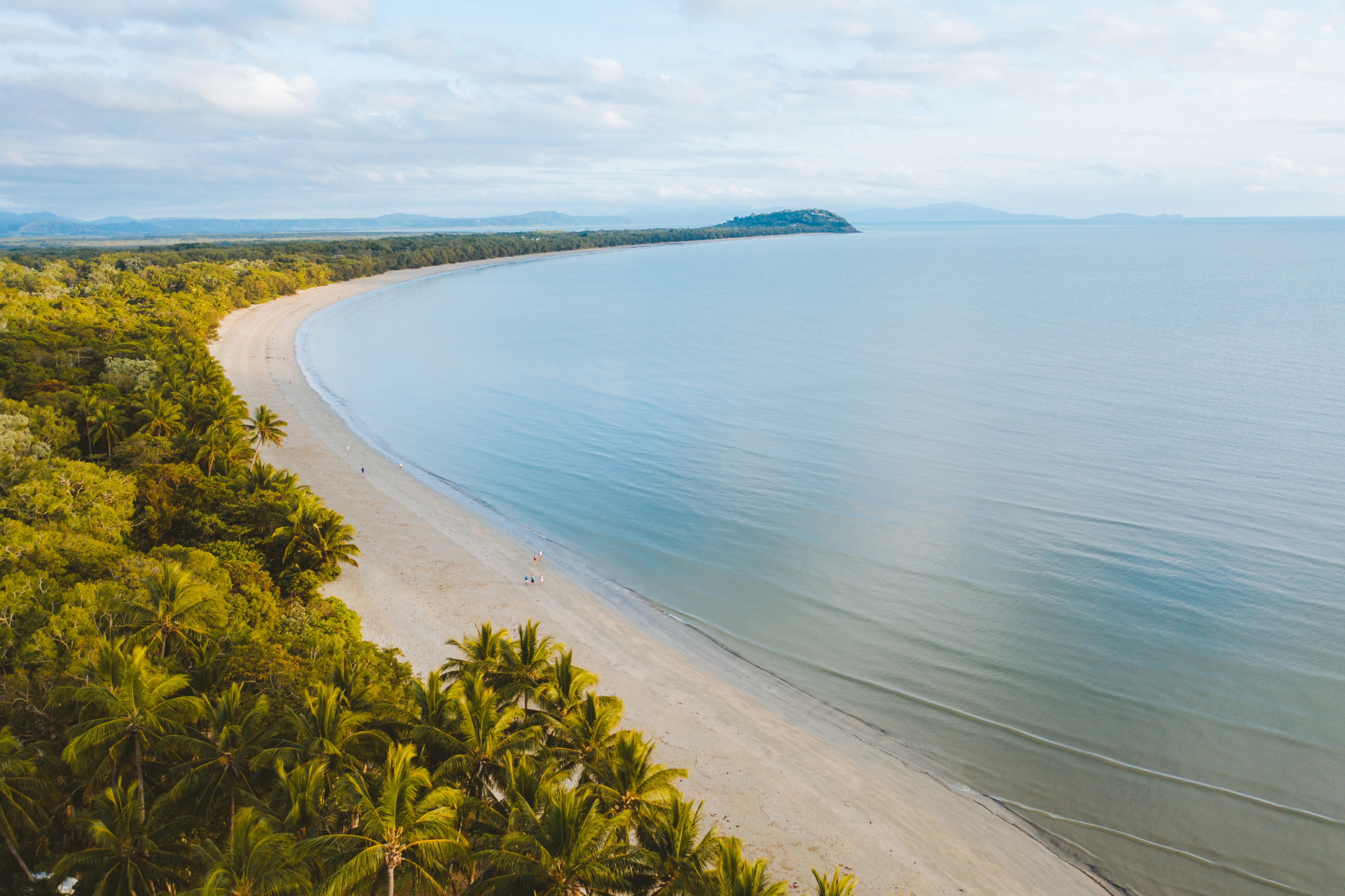 Palm-lined tropical beach curves along calm blue water, with rainforest-covered hills fading into the distance.