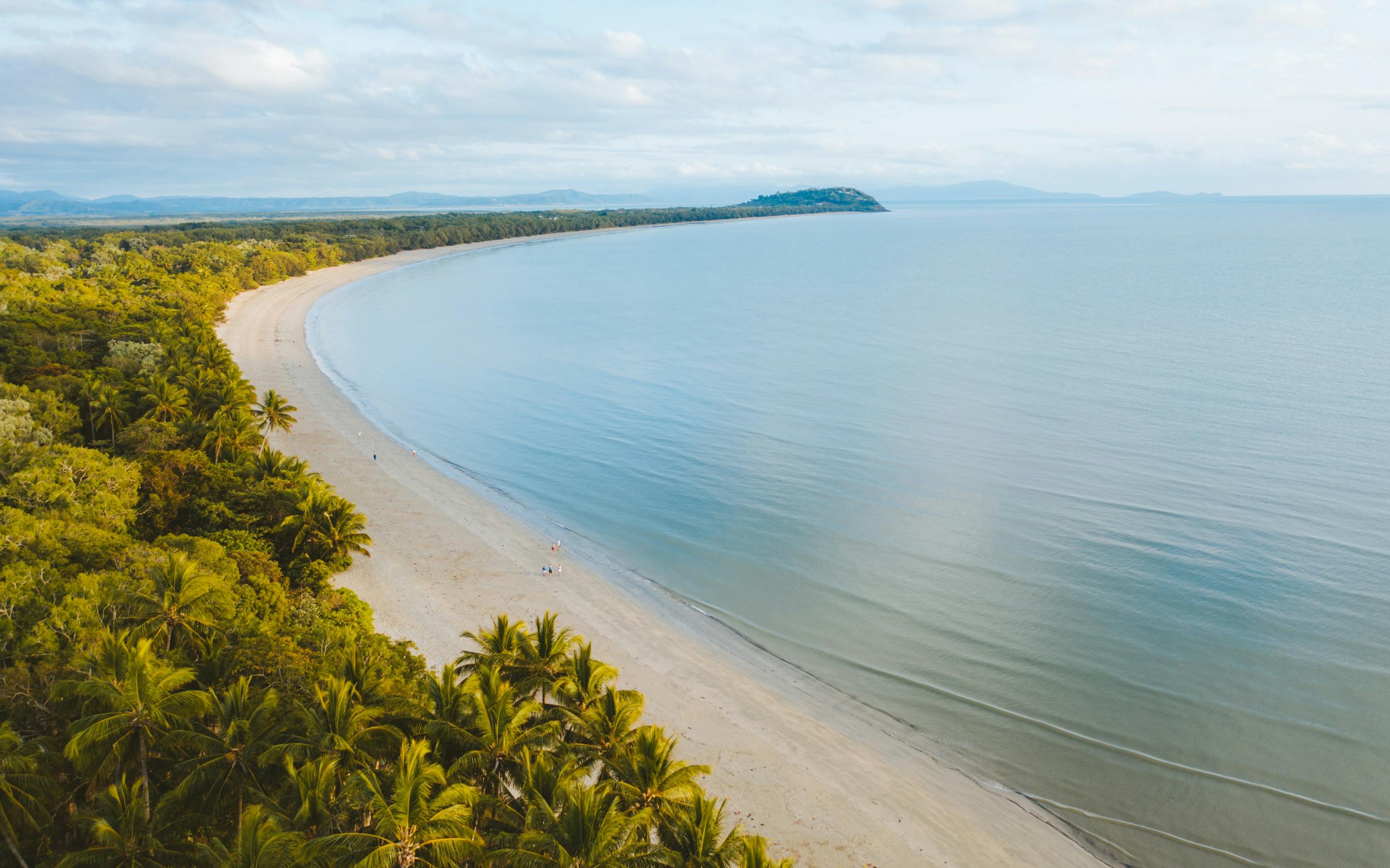 Palm-lined tropical beach curves along calm blue water, with rainforest-covered hills fading into the distance.