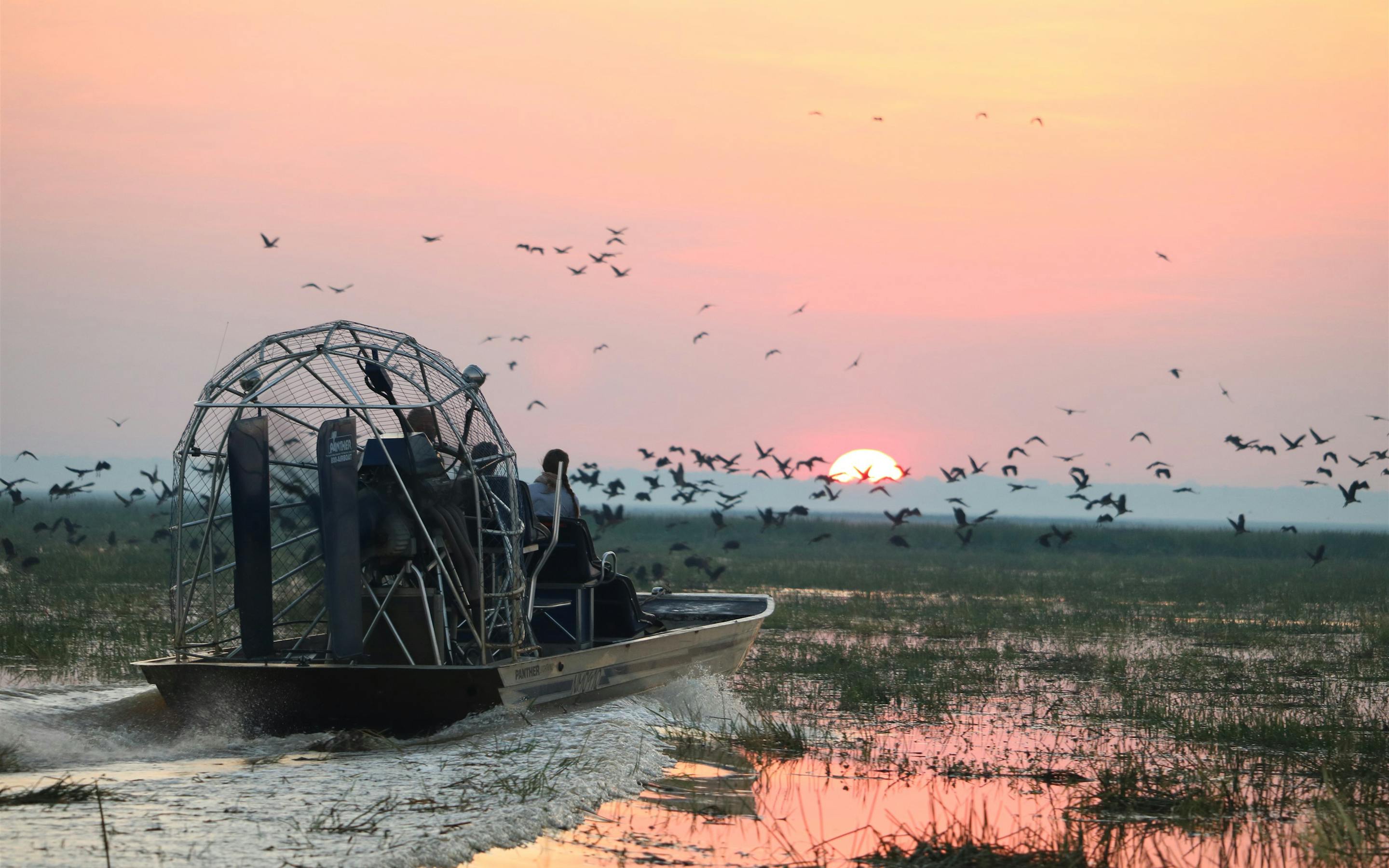 Airboat speeds across wetlands at sunset as a flock of birds lifts into the pink sky above rippling water.