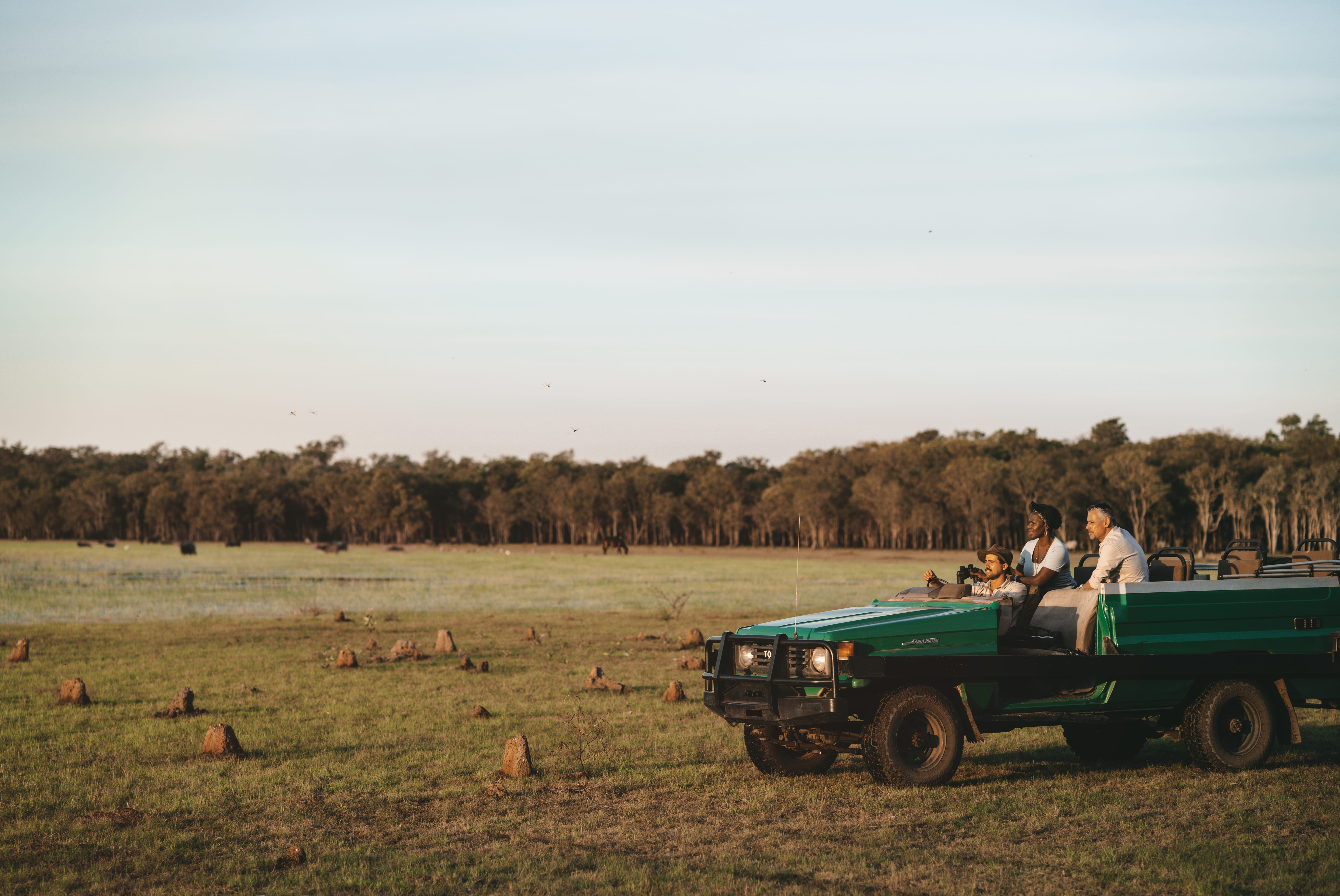 Open safari vehicle pauses beside grasslands at sunset as guests enjoy the view and evening sky.