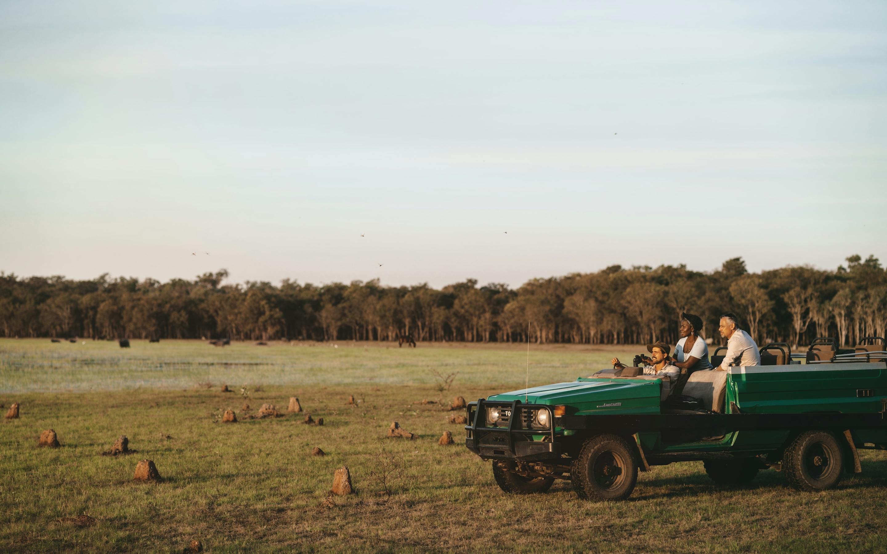 Open safari vehicle pauses beside grasslands at sunset as guests enjoy the view and evening sky.