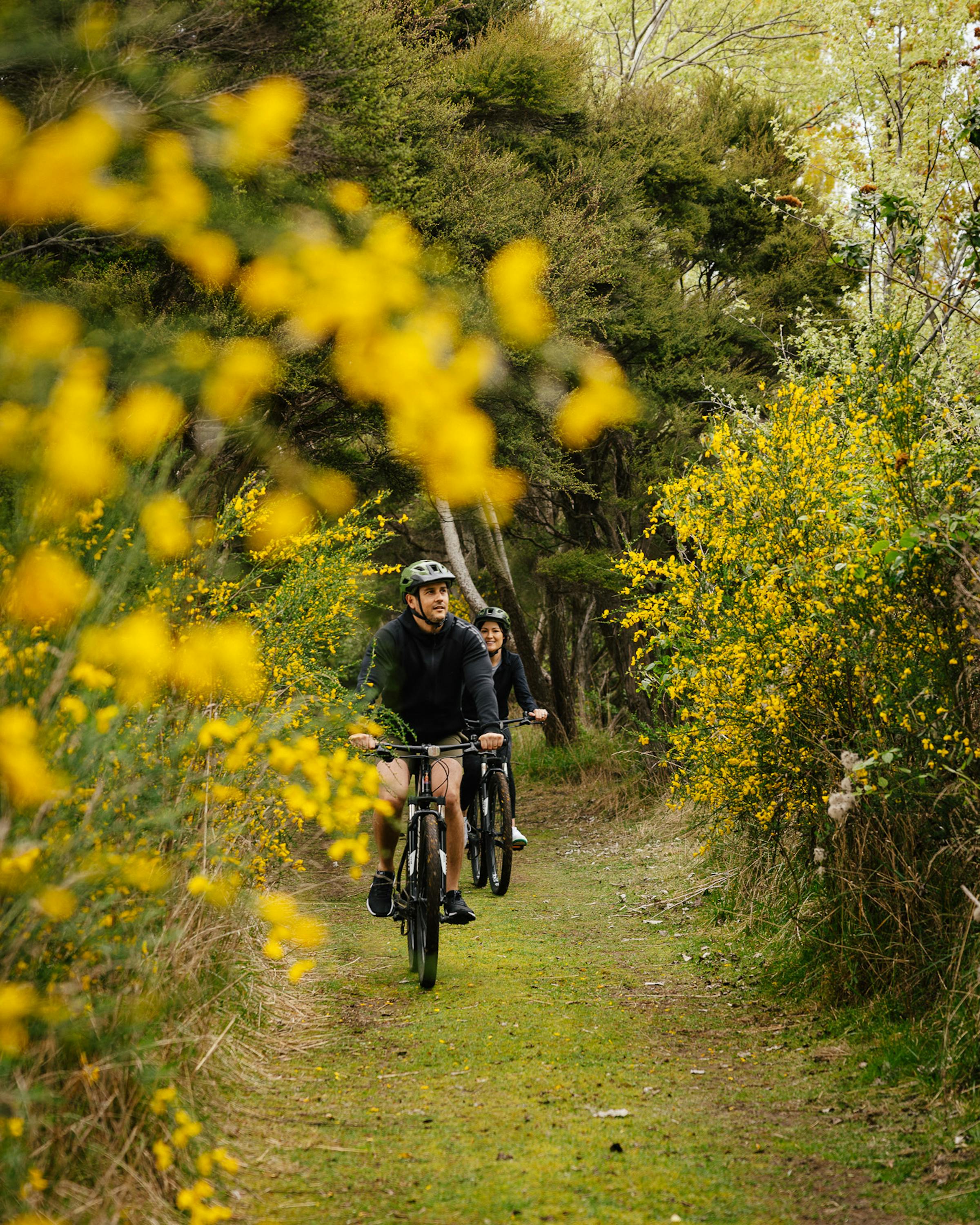 Cyclist rides along a narrow green path bordered by yellow flowers and shrubs, with bright sunlight ahead.