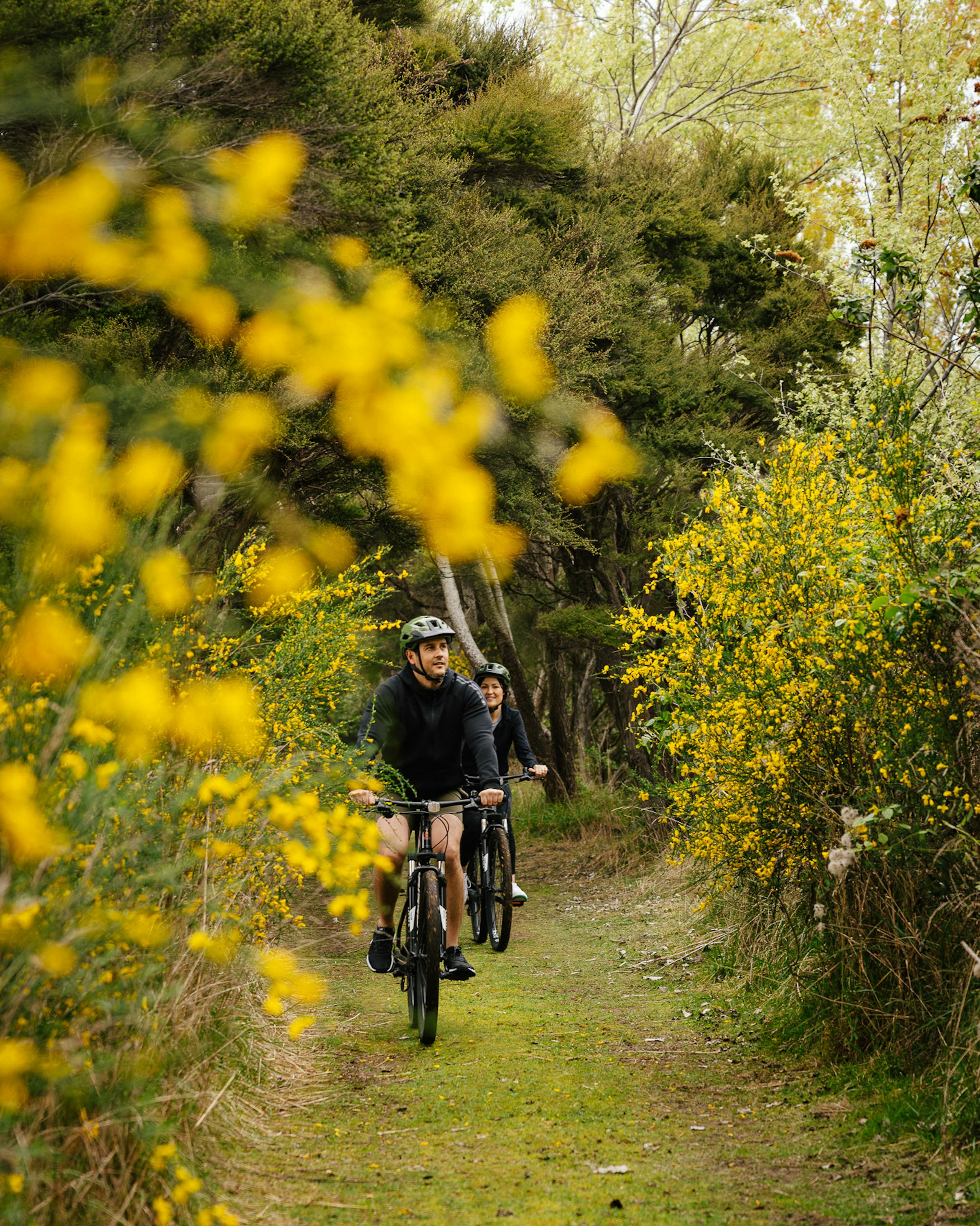 Cyclist rides along a narrow green path bordered by yellow flowers and shrubs, with bright sunlight ahead.