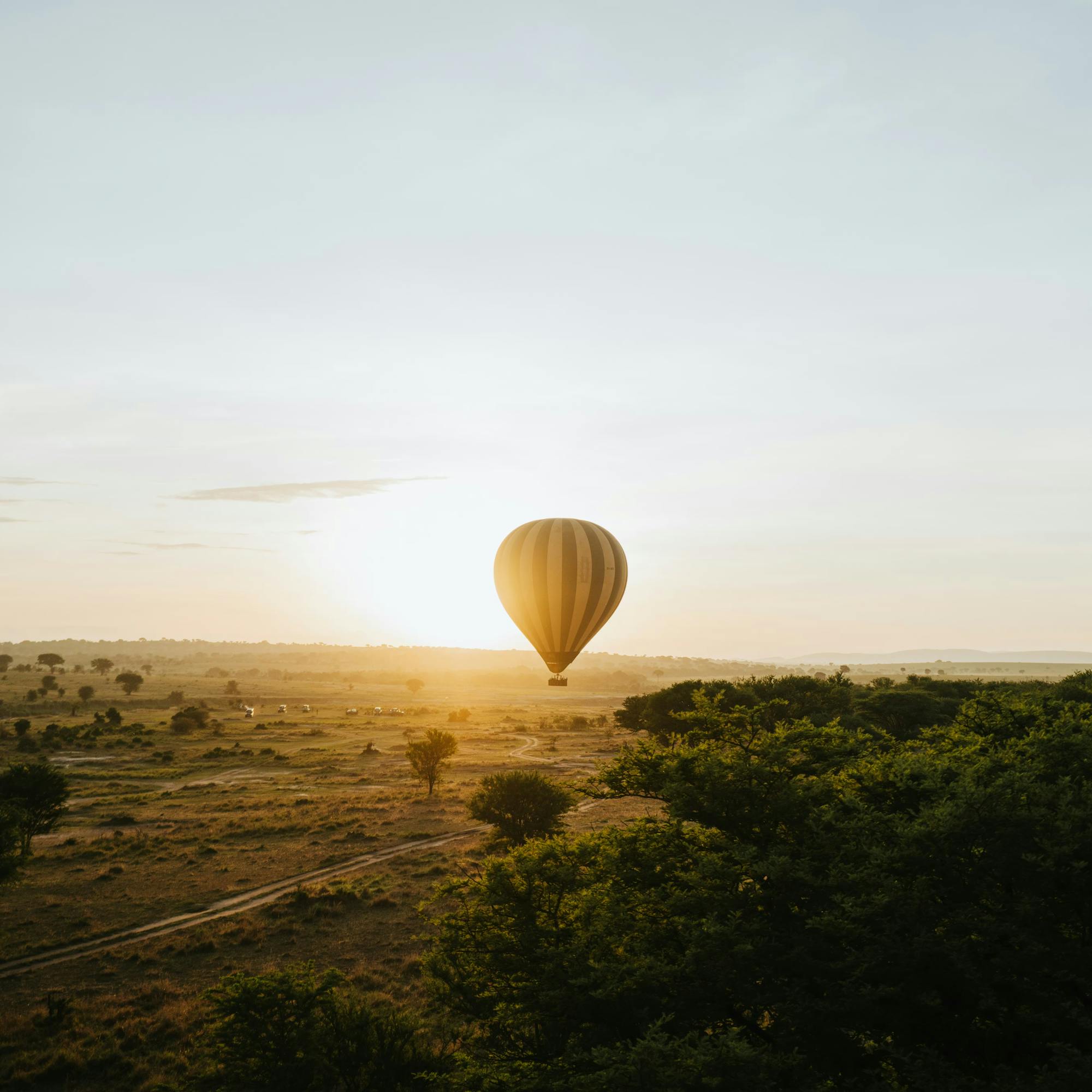 A hot air balloon floats above sunlit savanna at dawn, casting long shadows across trees and open plains.