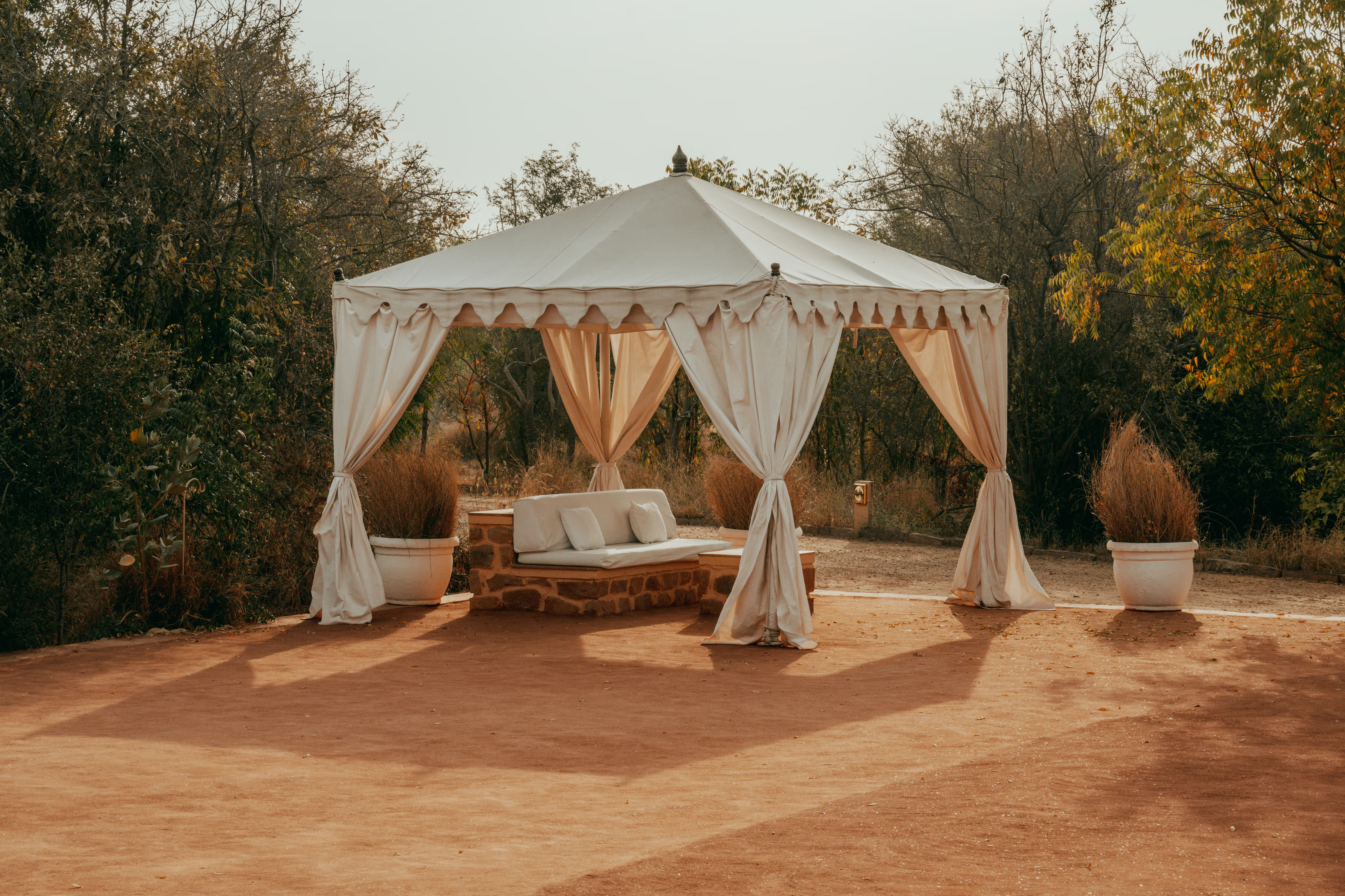 White canopy daybed on a sandy patio, framed by trees and a low bench in warm late-afternoon light outdoors.