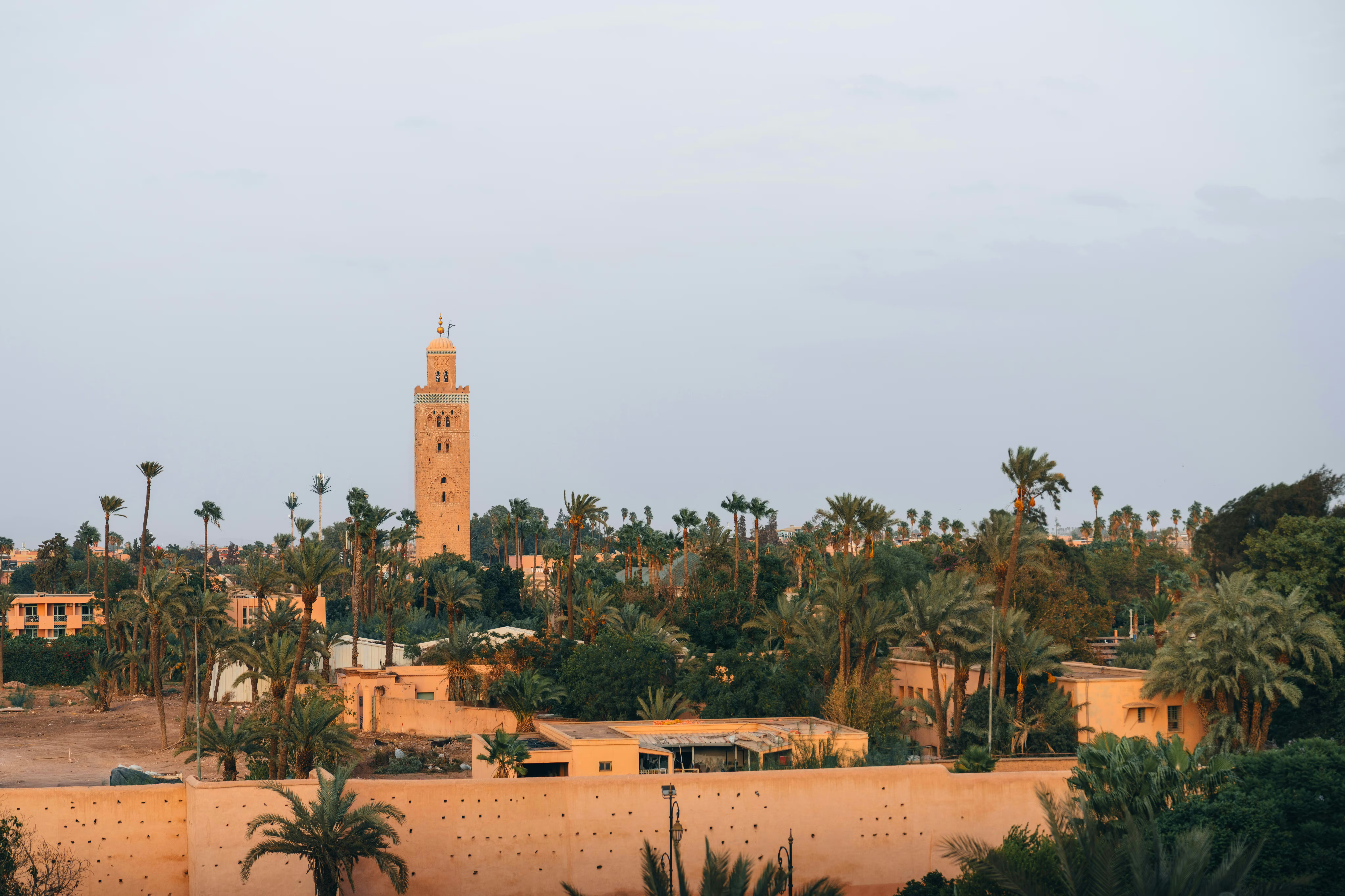 Sunset cityscape with a tall minaret rising above palm trees and low buildings, with hazy sky in the distance.