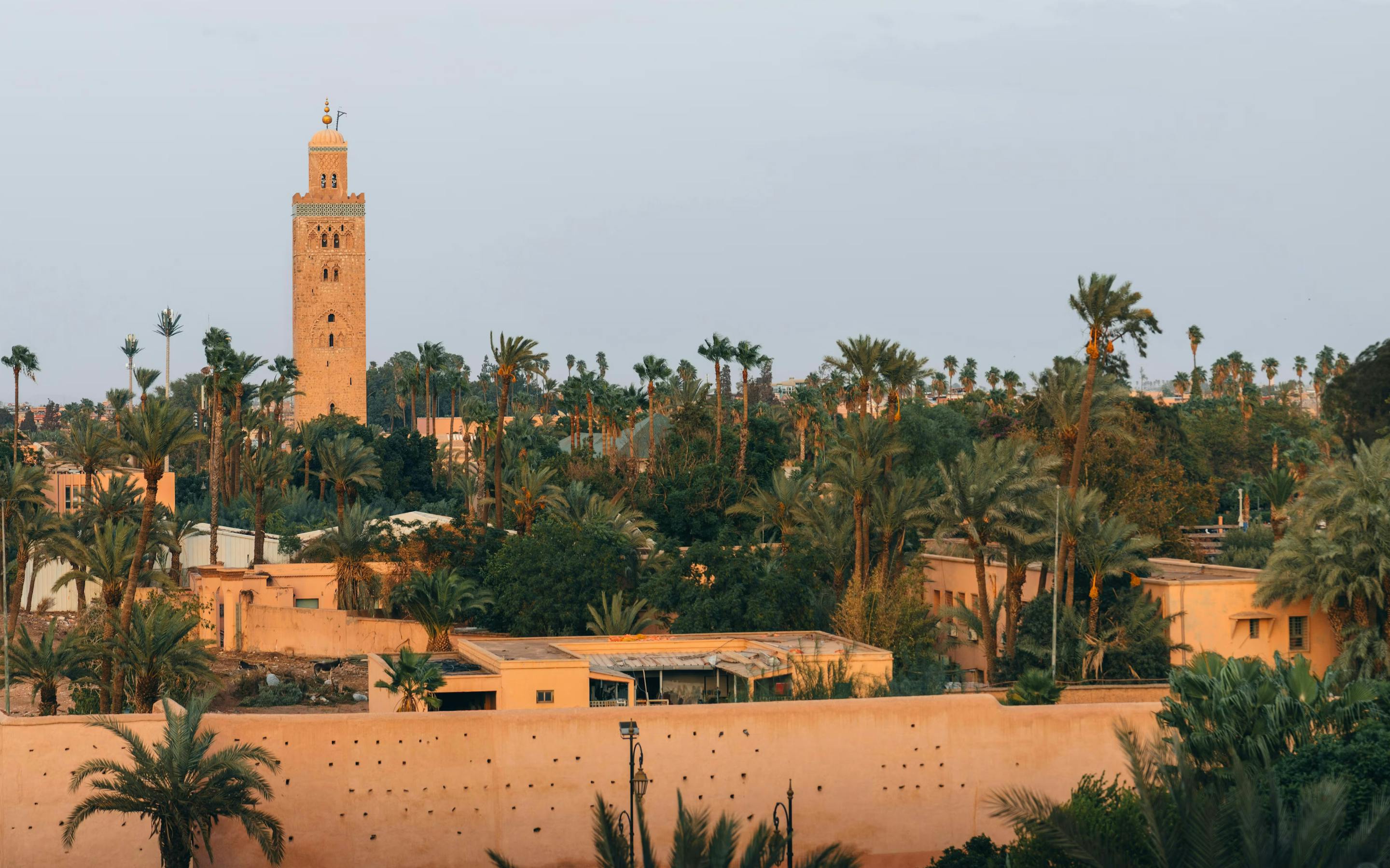 Sunset cityscape with a tall minaret rising above palm trees and low buildings, with hazy sky in the distance.