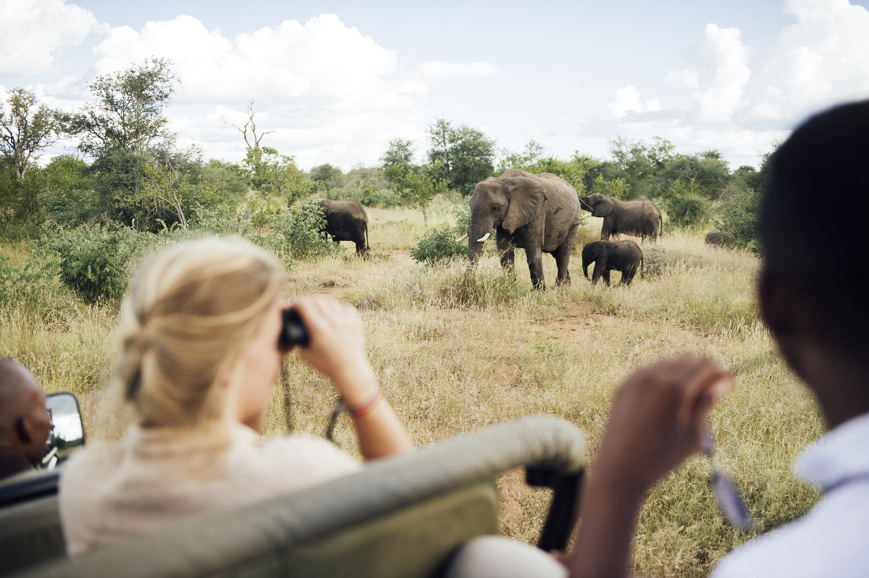 Guests on an open safari vehicle watch elephants ahead on the track, with tall grass and trees around them.