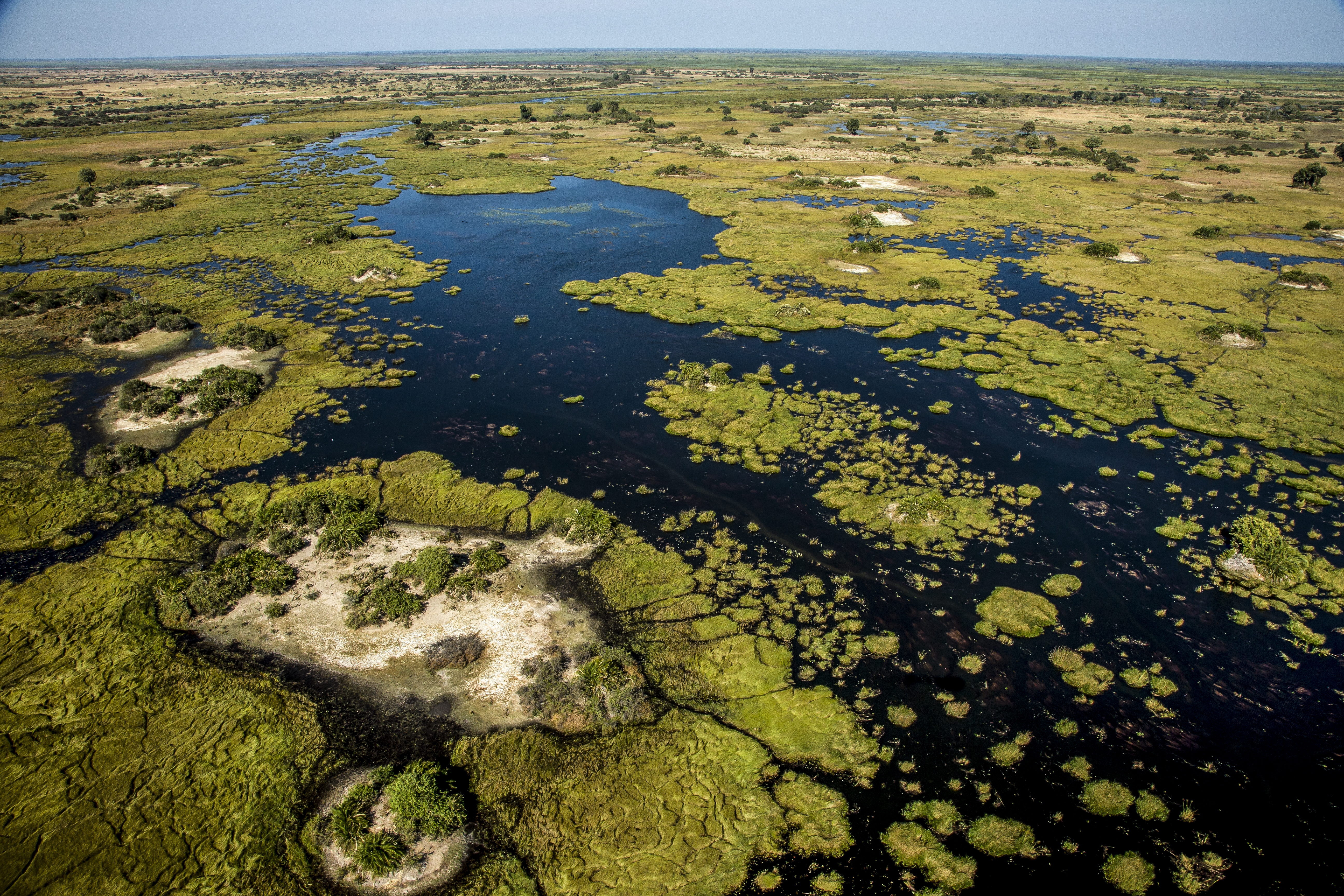 Aerial view reveals winding Okavango lagoons dotted with reeds and islands, with dark water cutting through green.