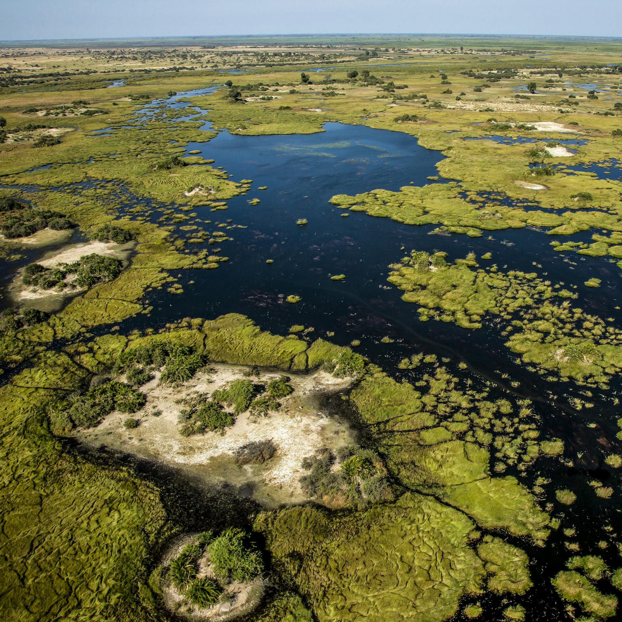 Aerial view reveals winding Okavango lagoons dotted with reeds and islands, with dark water cutting through green.