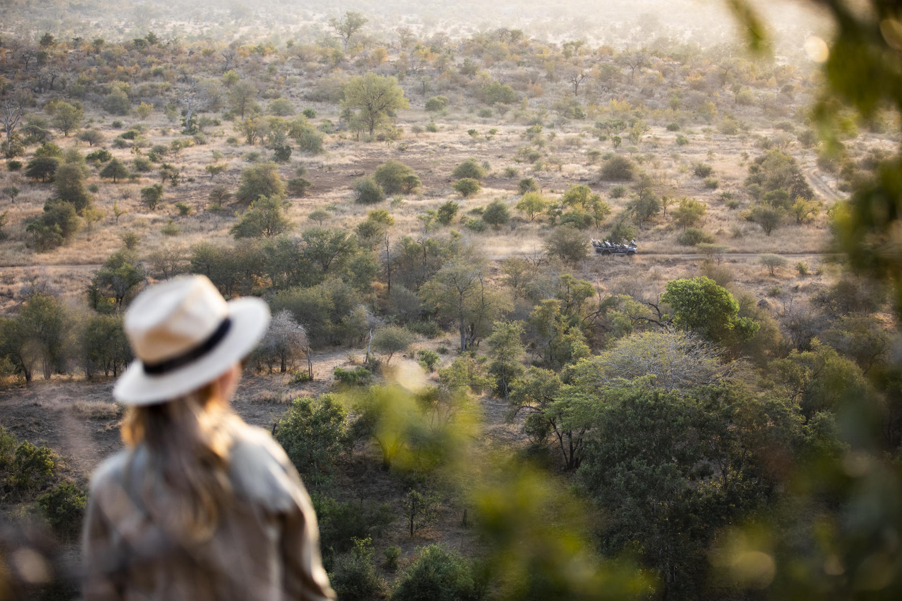 A guest in a wide-brimmed hat looks out across the bush from a lookout, with trees and open plains beyond.