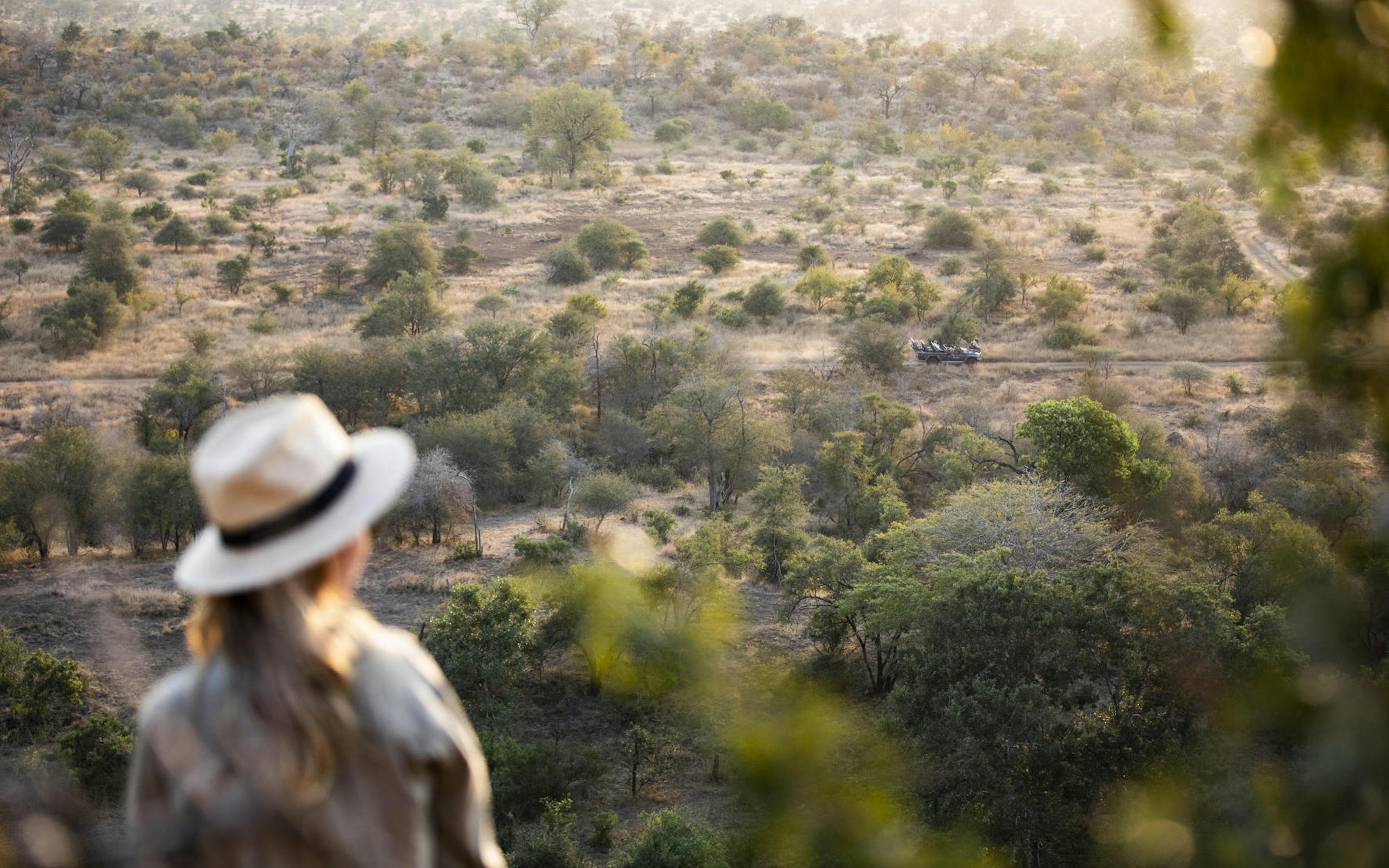 A guest in a wide-brimmed hat looks out across the bush from a lookout, with trees and open plains beyond.