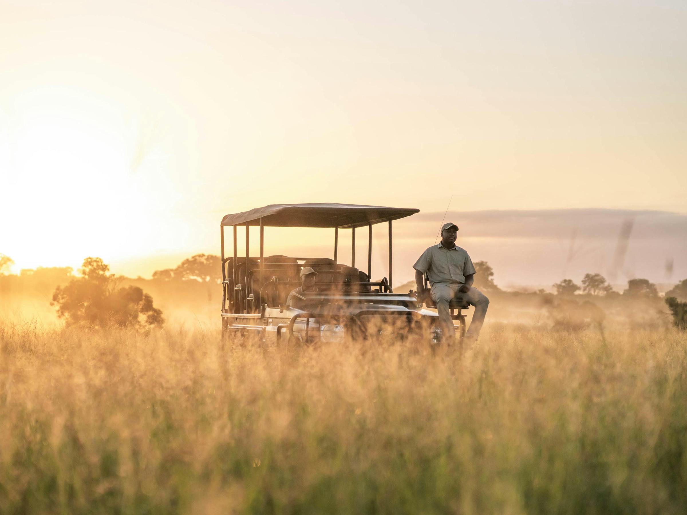 A safari vehicle drives through tall grass at sunrise, with a guide sitting on the front platform in glowing light.
