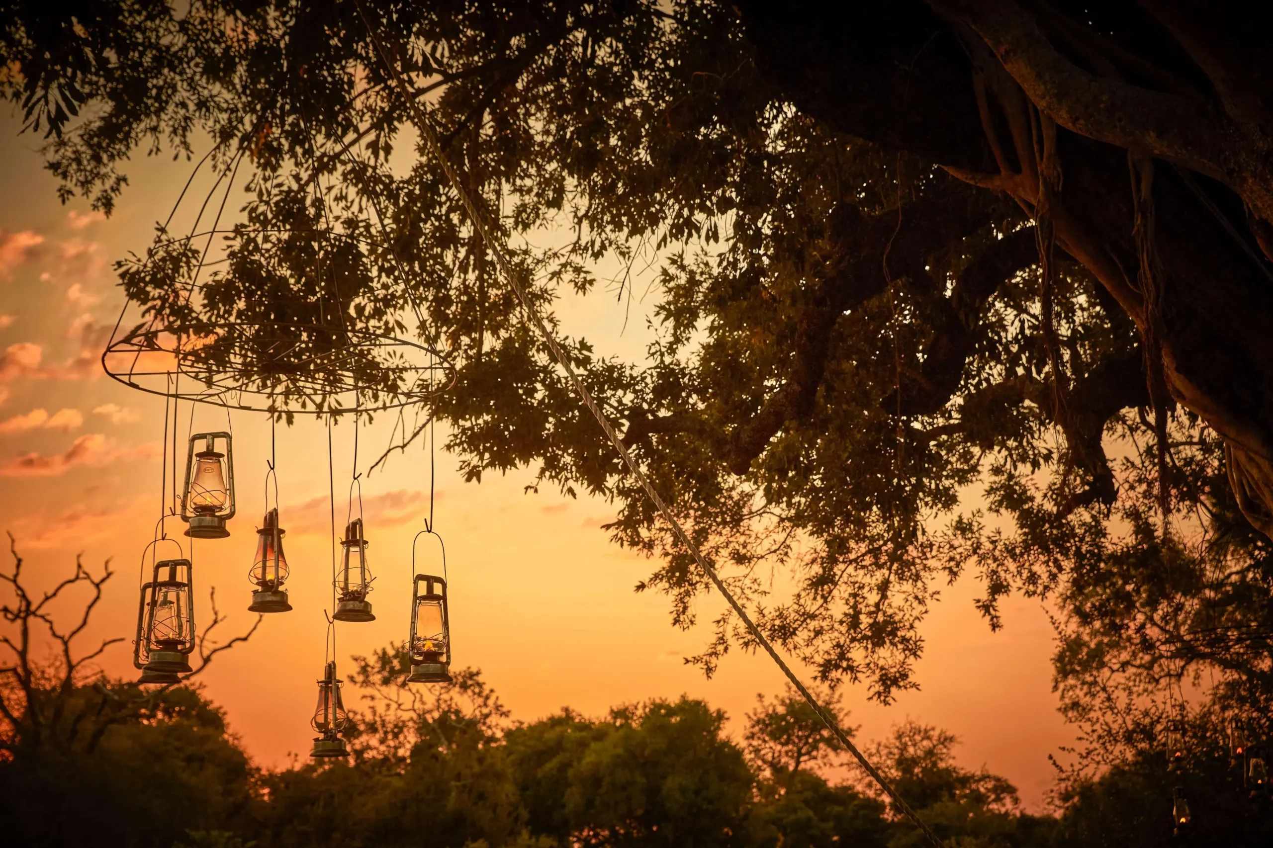 Lanterns hang from a tree at sunset above a bush dinner setup, casting warm light across the savanna below.
