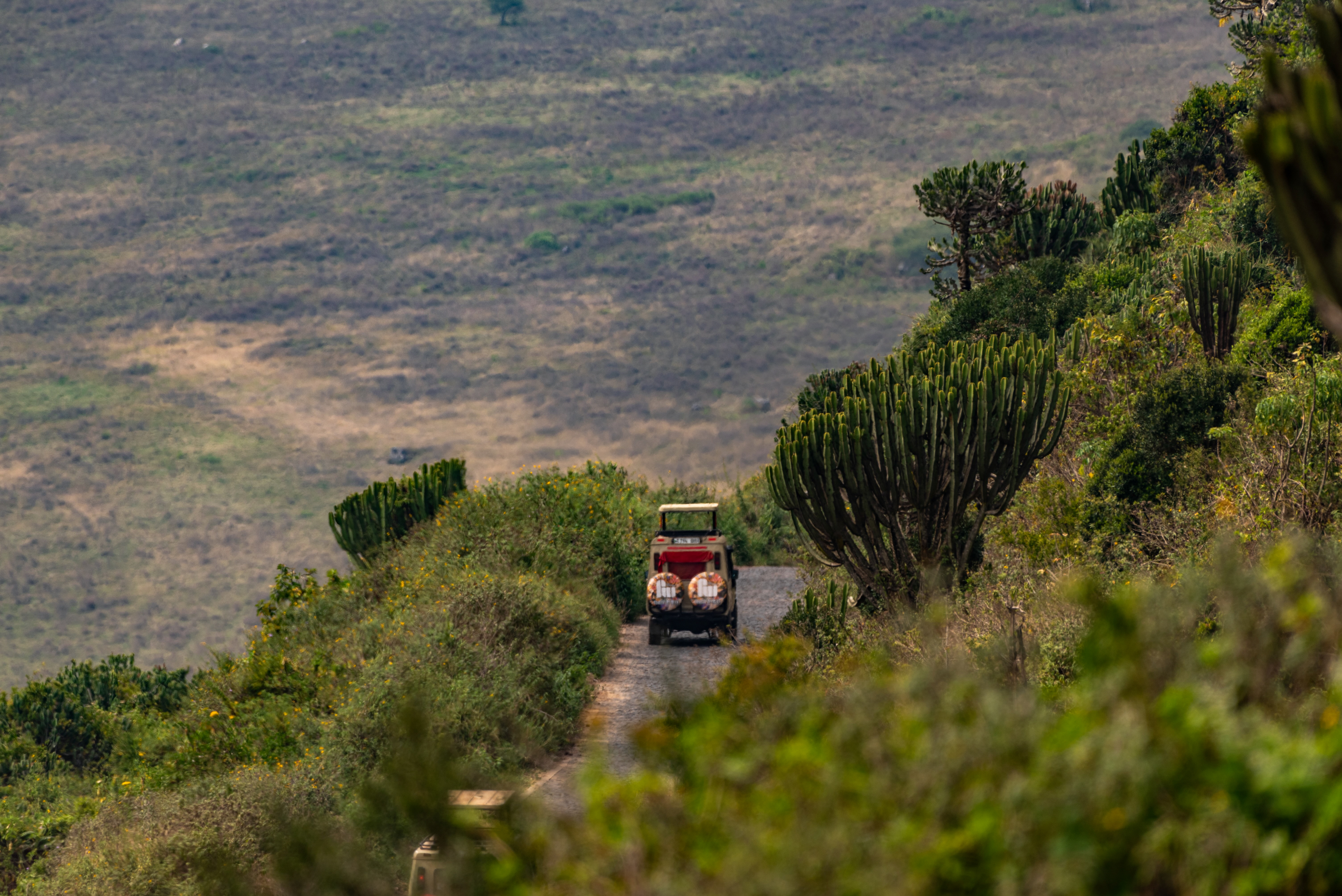 A safari vehicle drives along a narrow track through scrubby hills, with the crater landscape rising beyond.