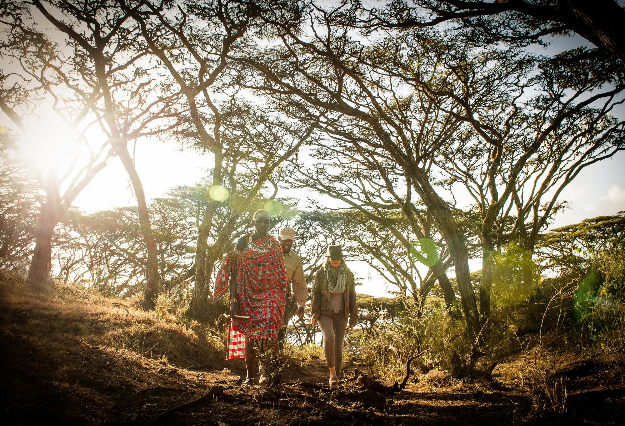 Three people walk beneath acacia trees in the highlands, with low sun streaming through branches ahead softly.