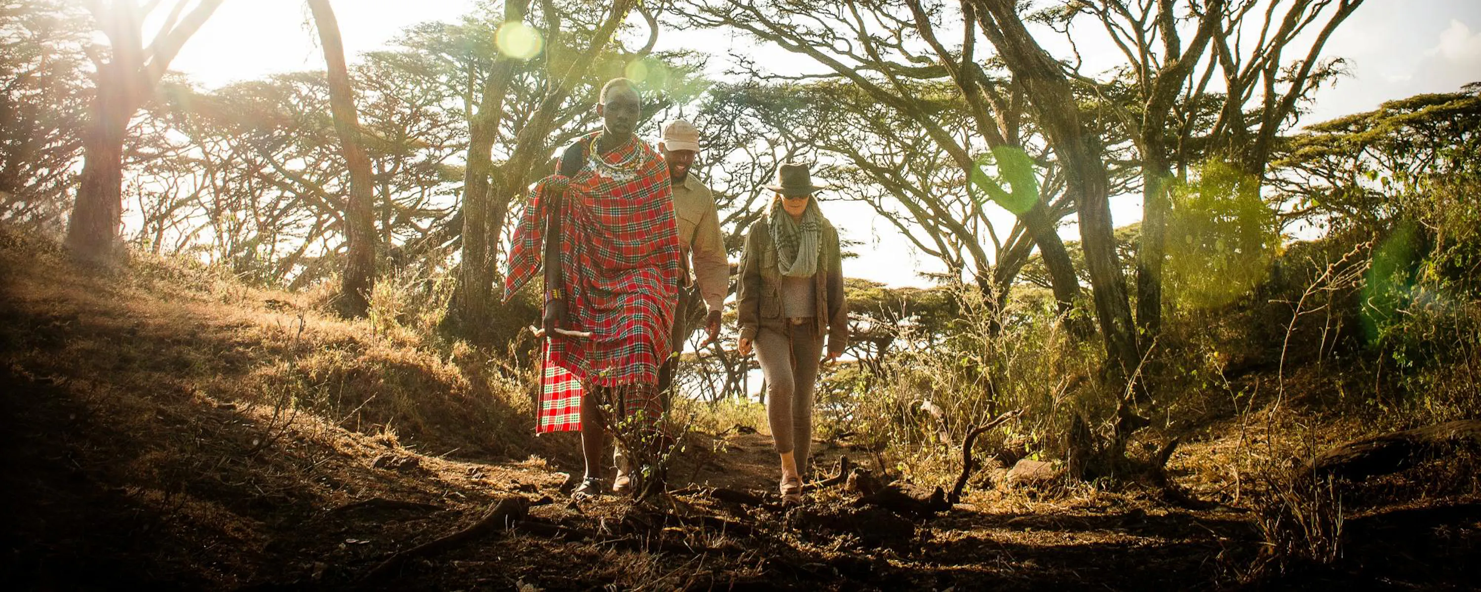 Three people walk beneath acacia trees in the highlands, with low sun streaming through branches ahead softly.