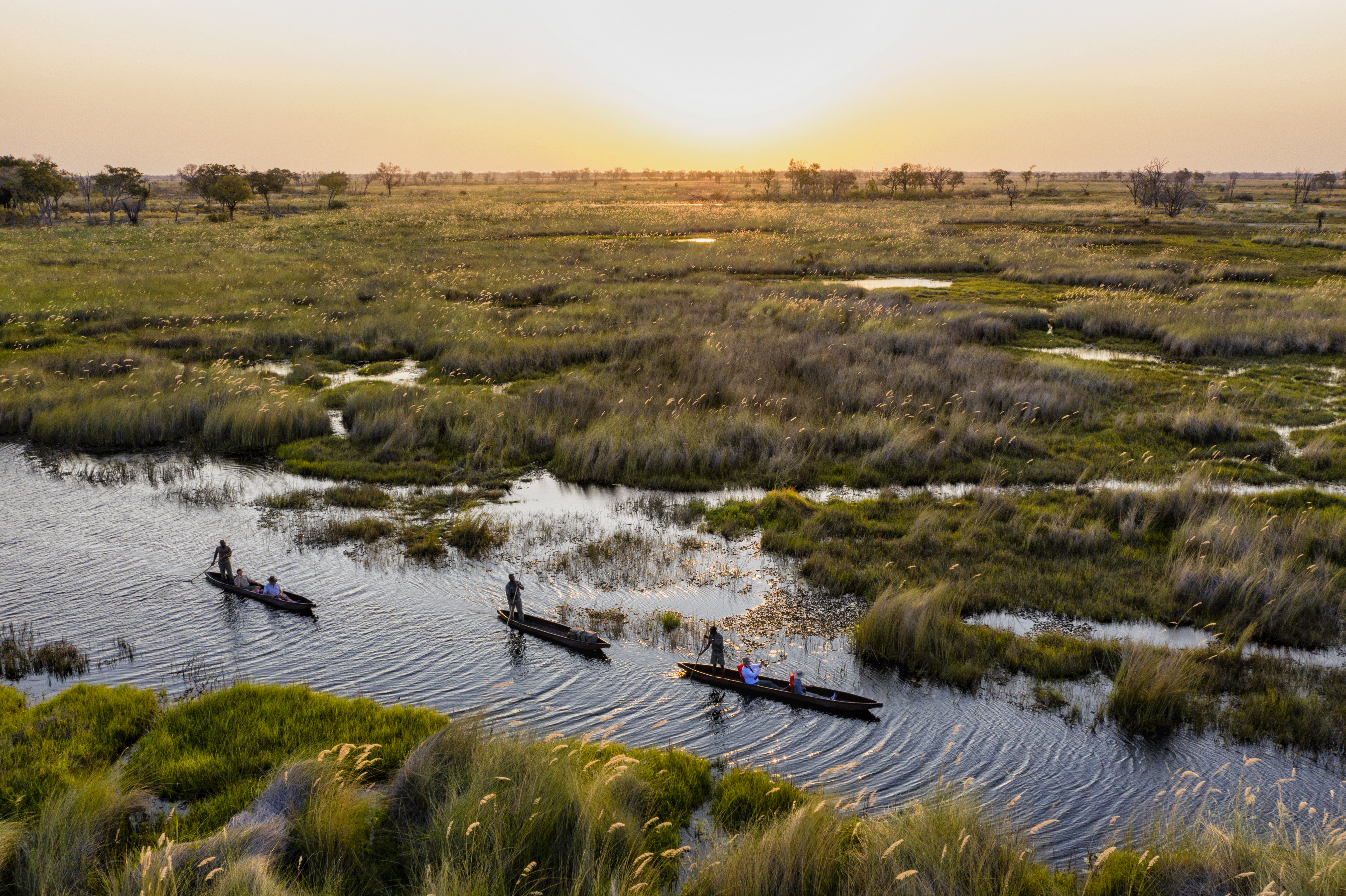 Three mokoro canoes glide through Okavango channels at sunset, leaving ripples between grassy islands below.