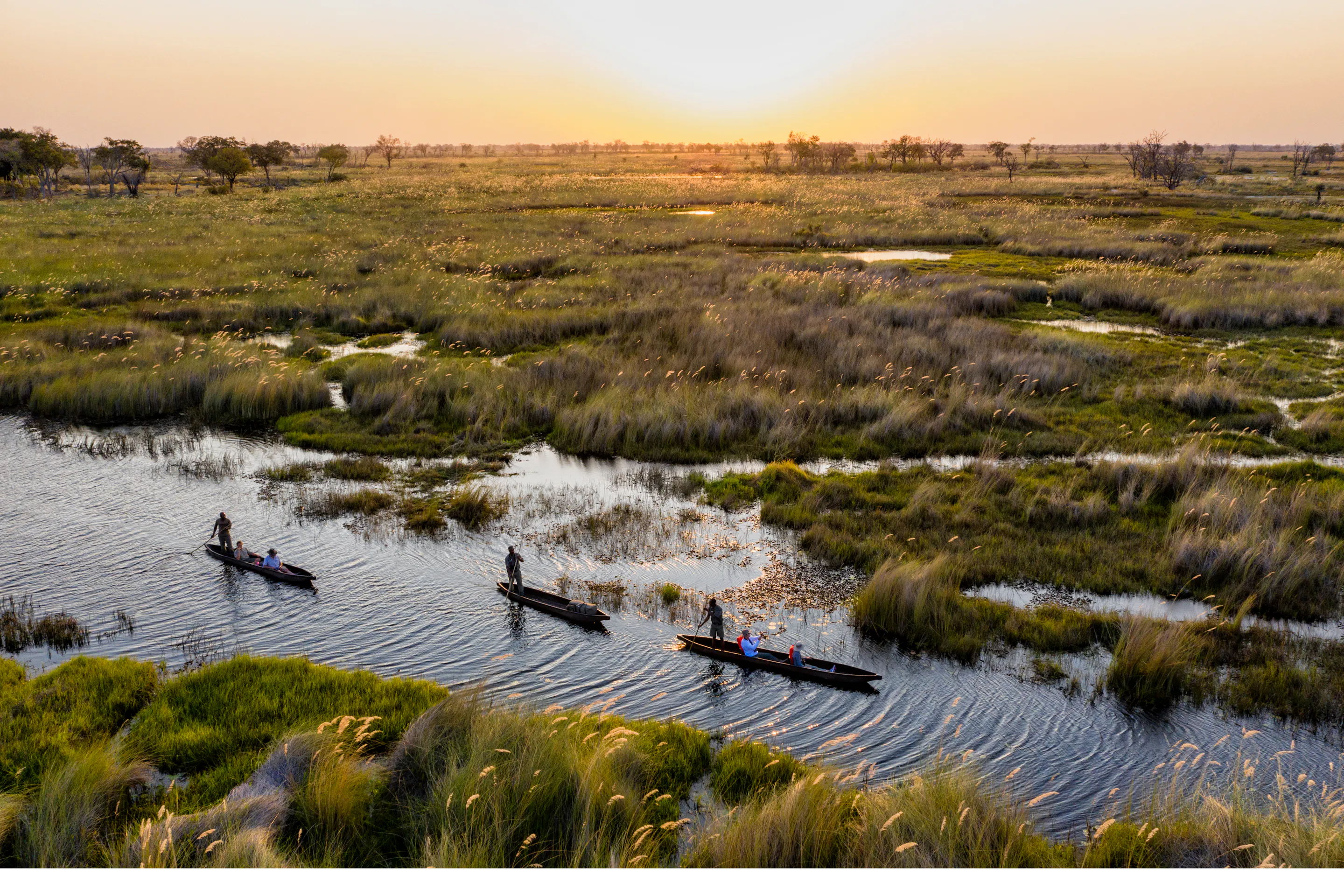 Three mokoro canoes glide through Okavango channels at sunset, leaving ripples between grassy islands below.