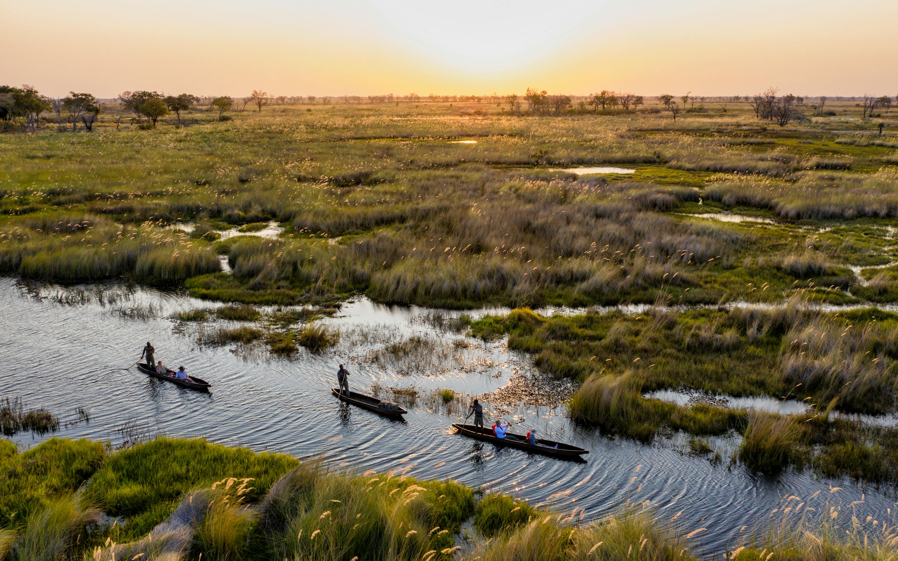 Three mokoro canoes glide through Okavango channels at sunset, leaving ripples between grassy islands below.