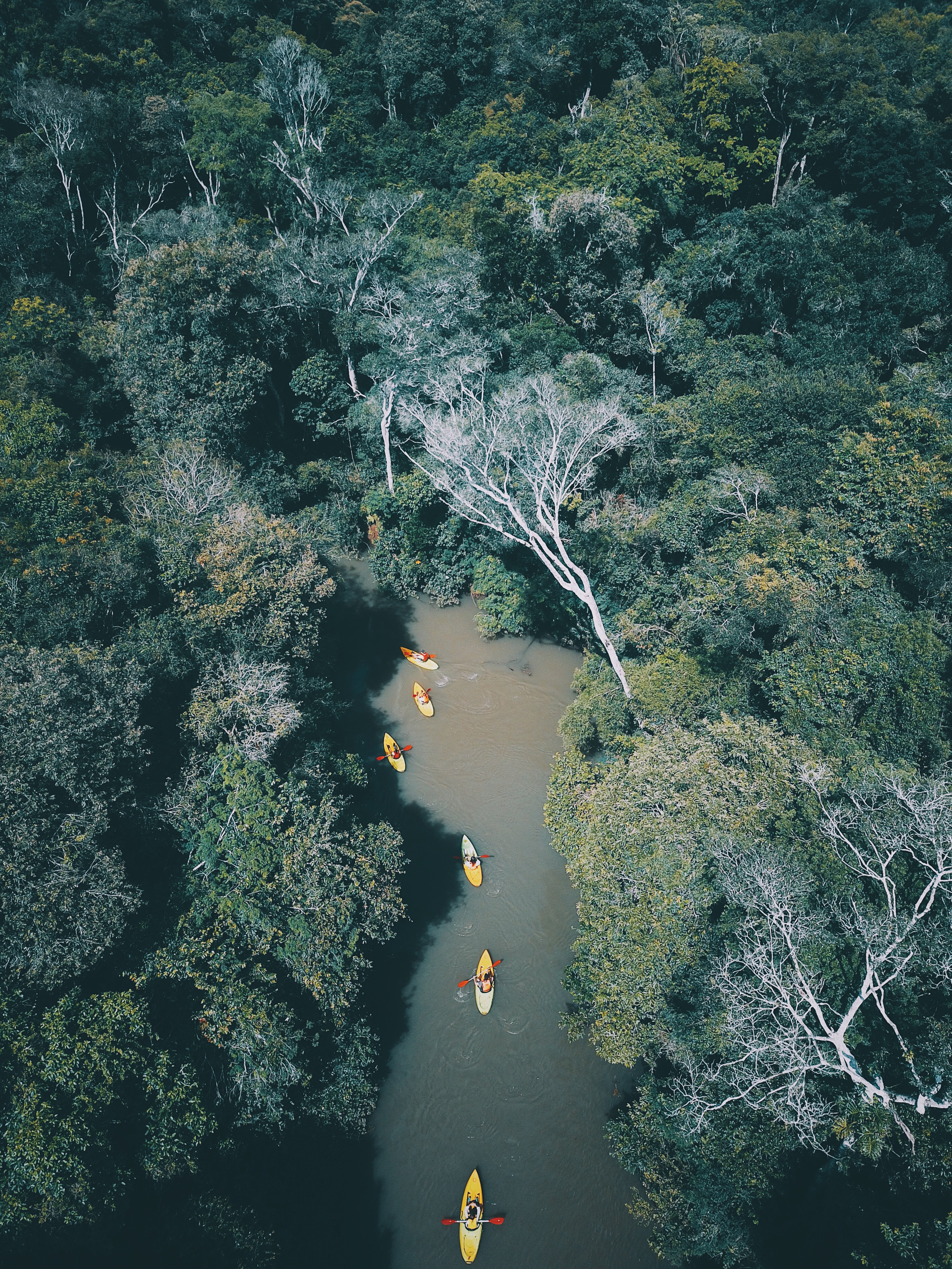 Aerial view shows kayakers paddling along a narrow jungle river near Iguazu, surrounded by dense green canopy.