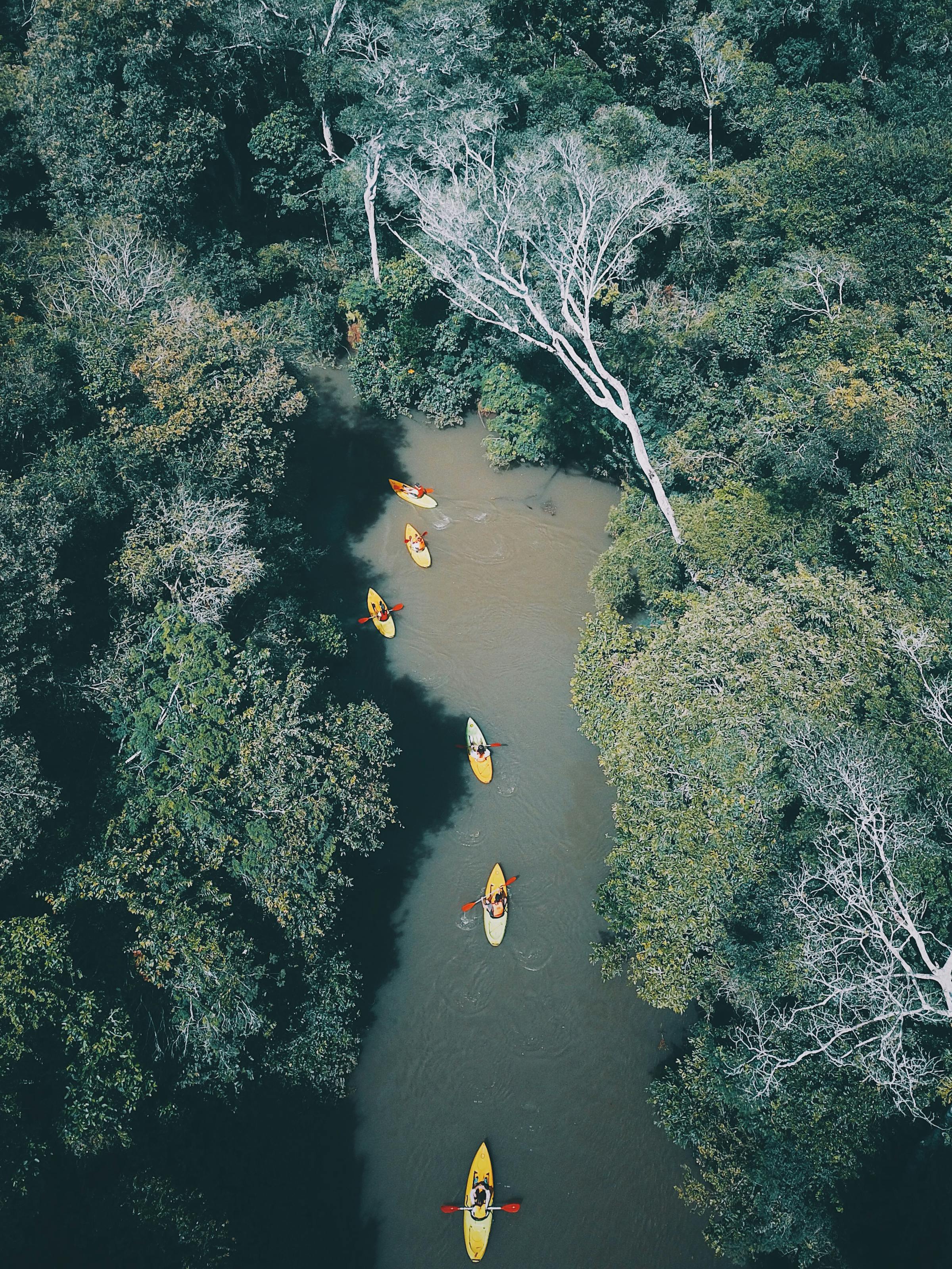 Aerial view shows kayakers paddling along a narrow jungle river near Iguazu, surrounded by dense green canopy.